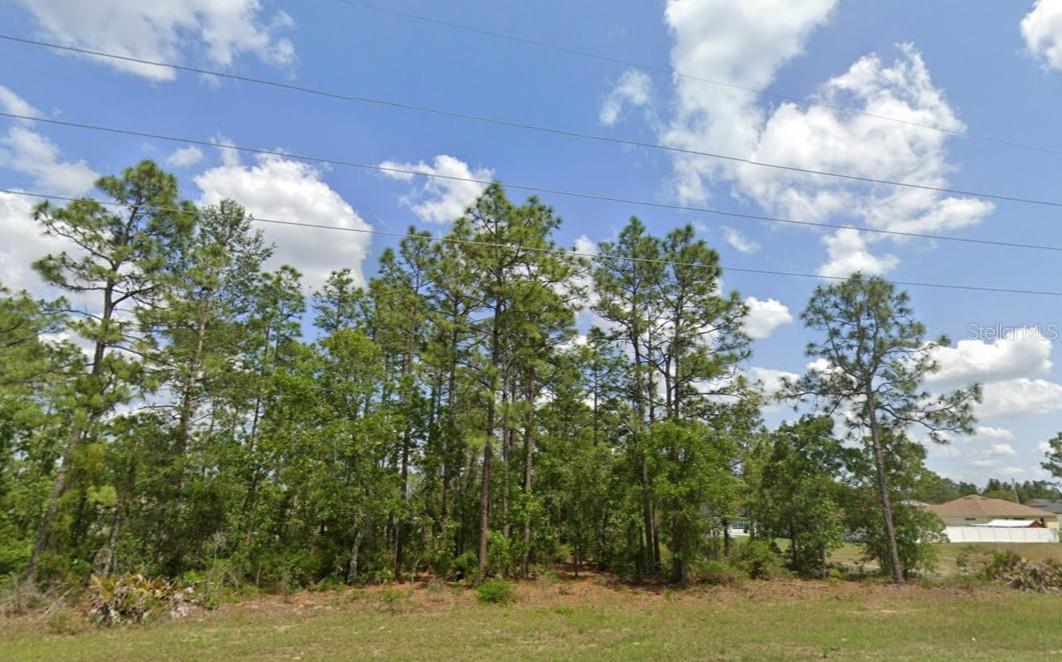 SW 484 HWY #Lot 6