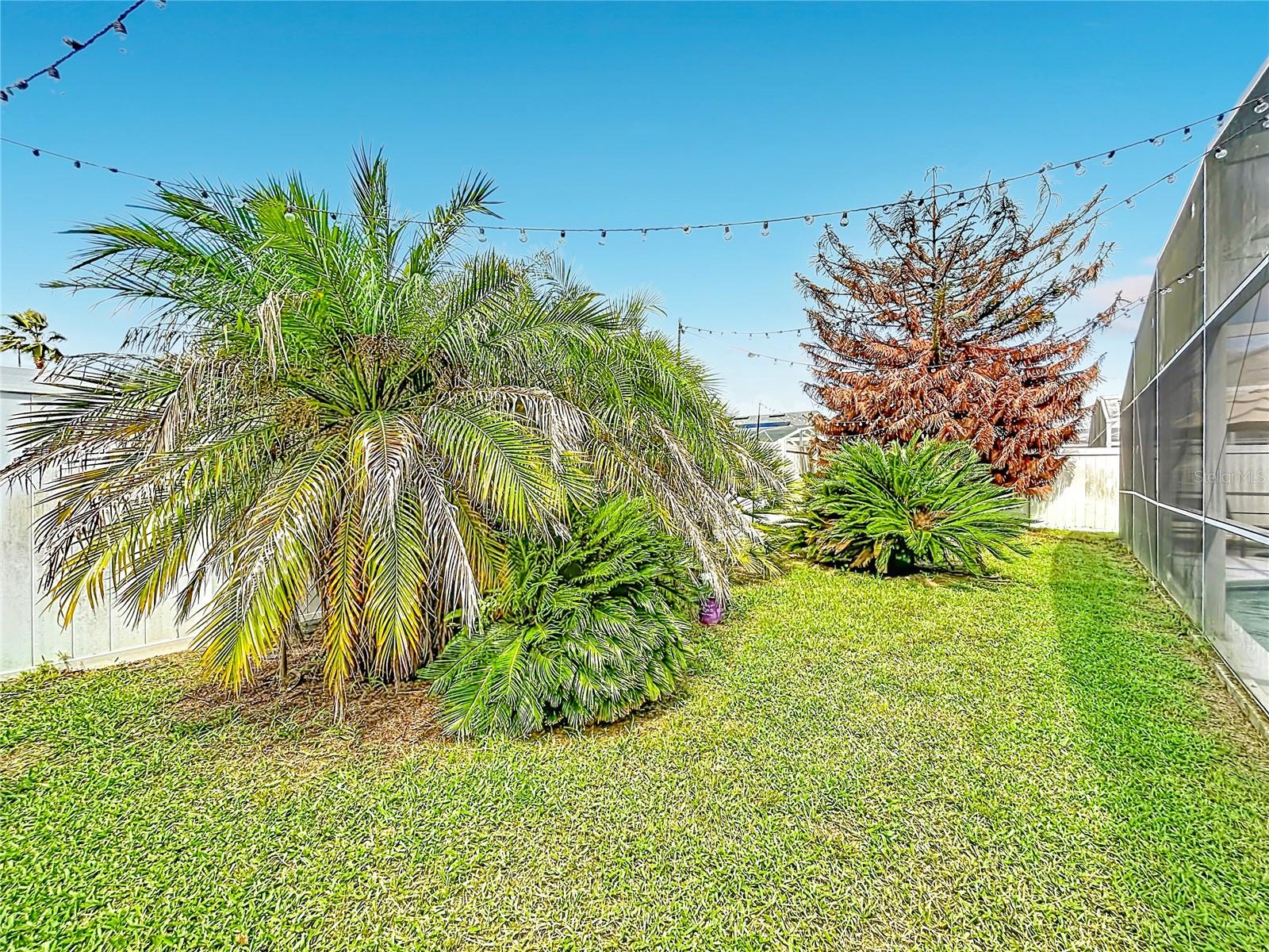121 BLOOMINGDALE DR