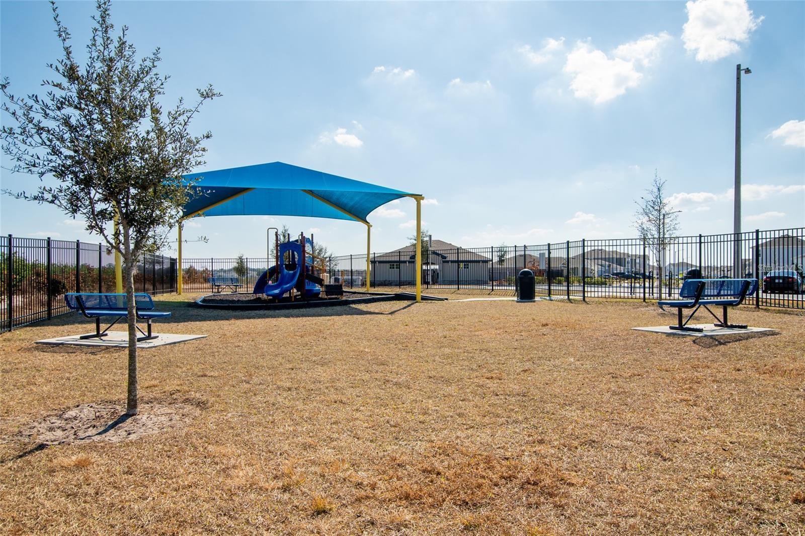 1172 TYLER LOOP