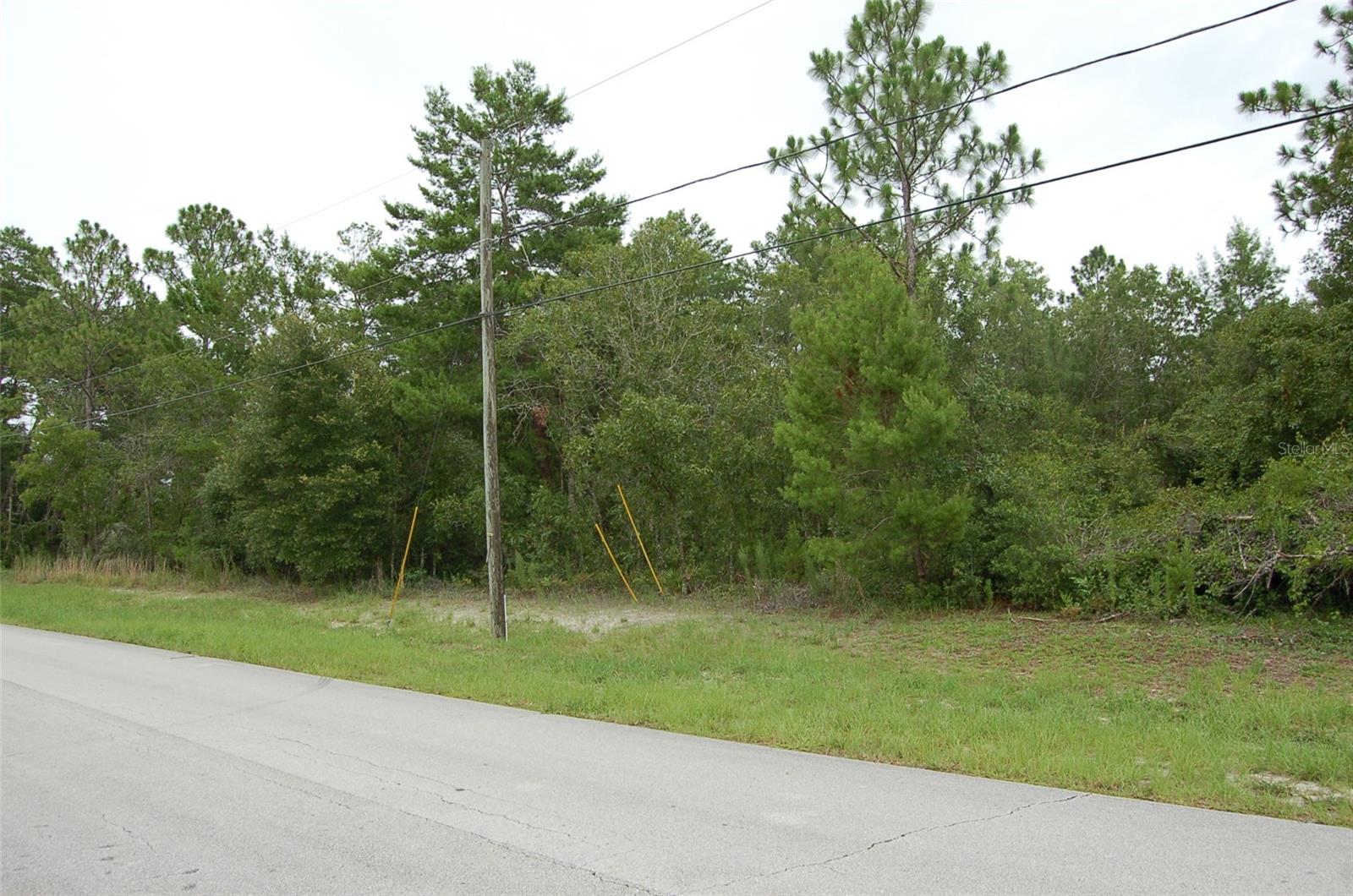 0 SW 133 LANE RD LN NW #12
