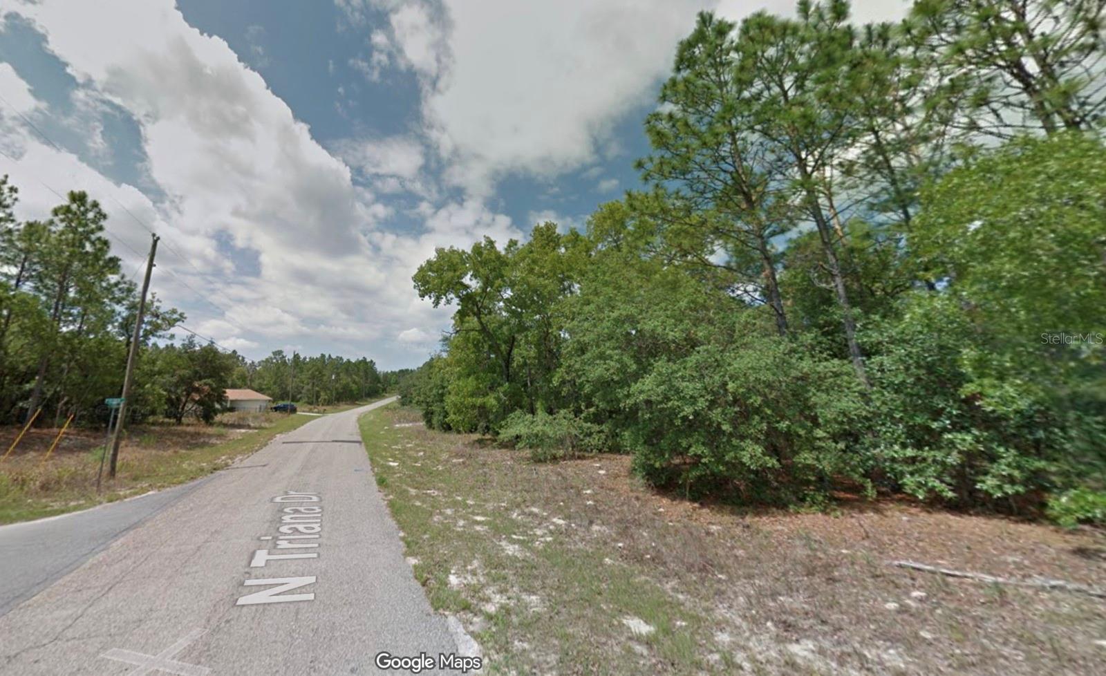 8100 N TRIANA DR