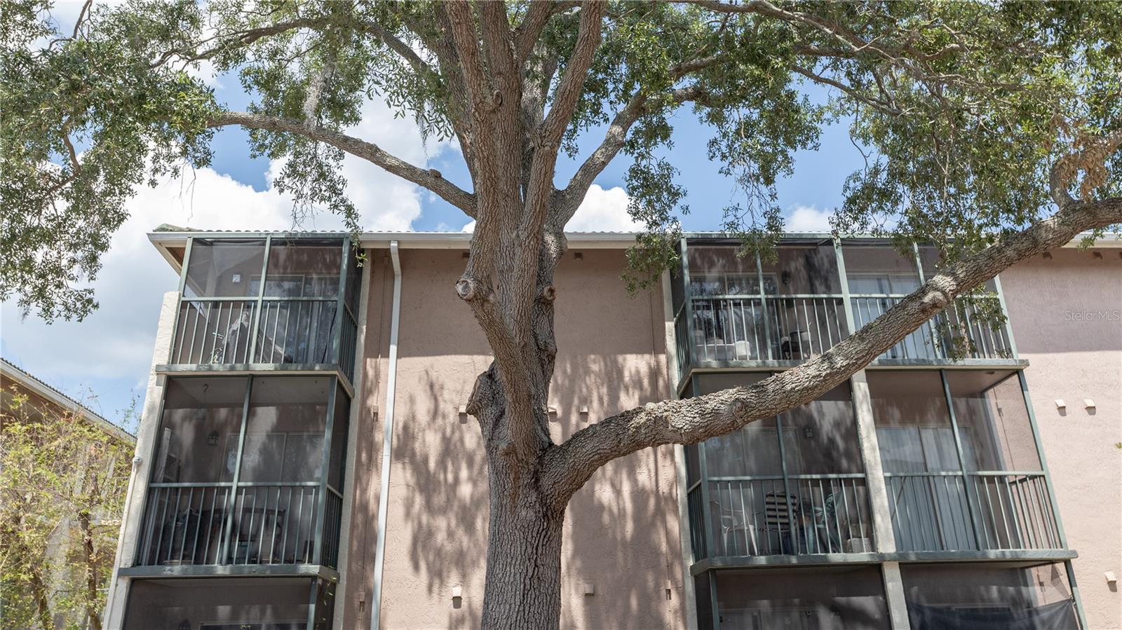123 BLUE POINT WAY #320