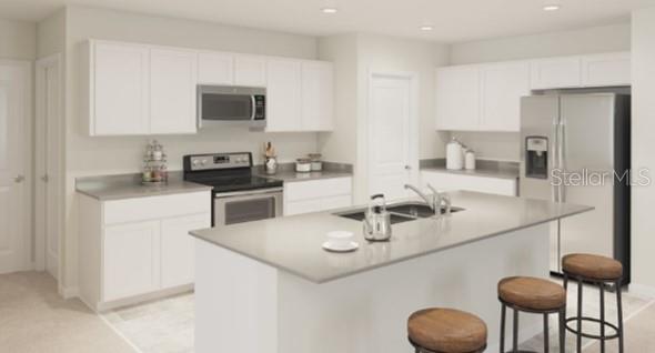 26224 FEATHERGRASS CIR