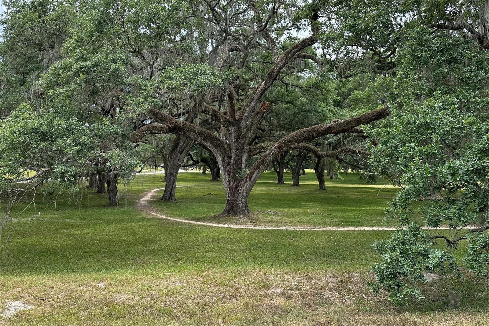 13163 SW 106 PL