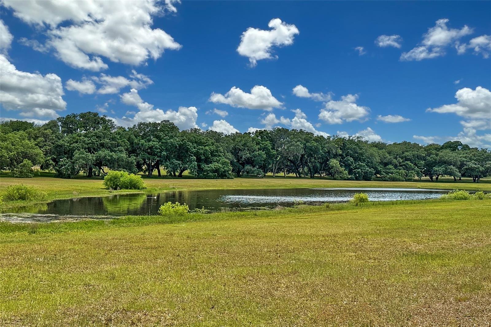 13163 SW 106 PL