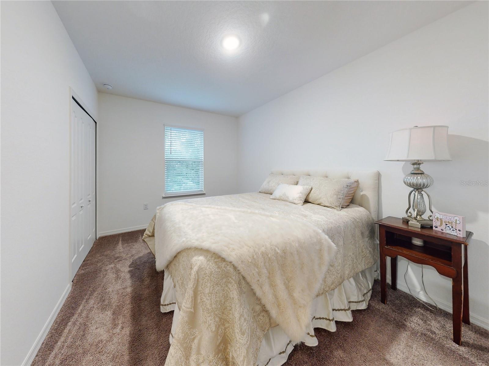2596 FLAMINGO RD