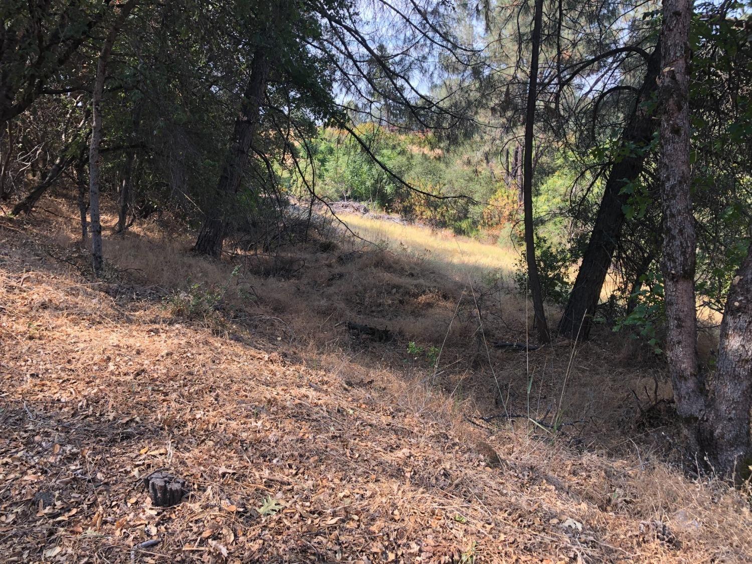 3075 Gold Nugget Way