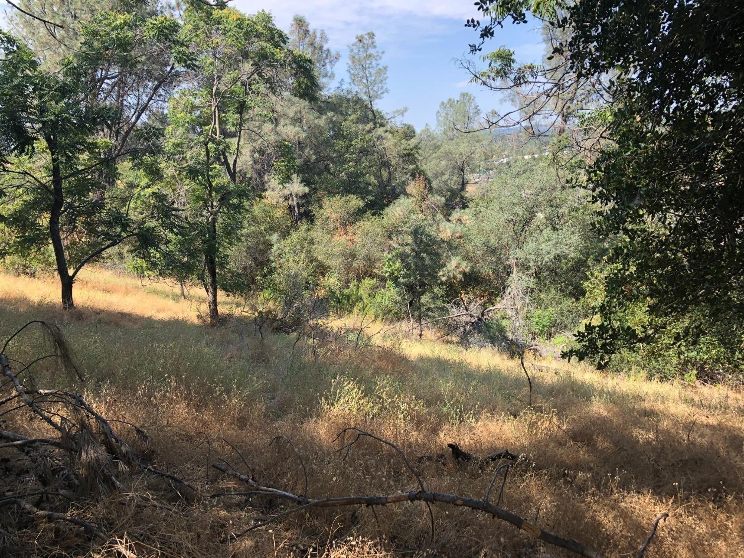 3075 Gold Nugget Way