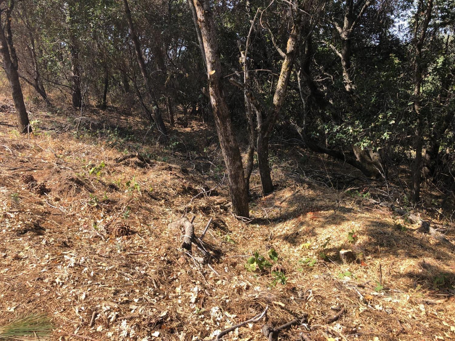 3075 Gold Nugget Way