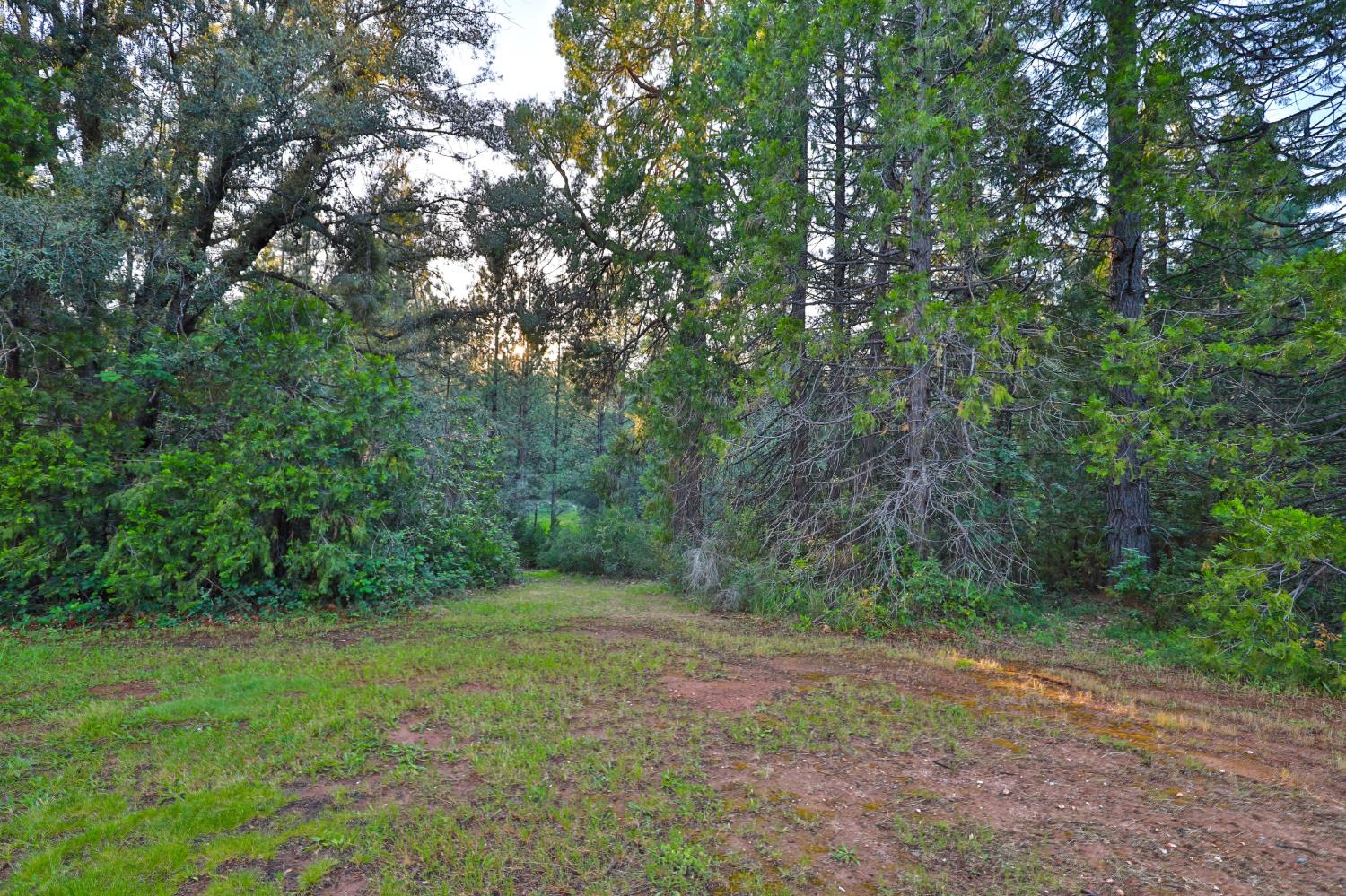 3333 Bingham Lane