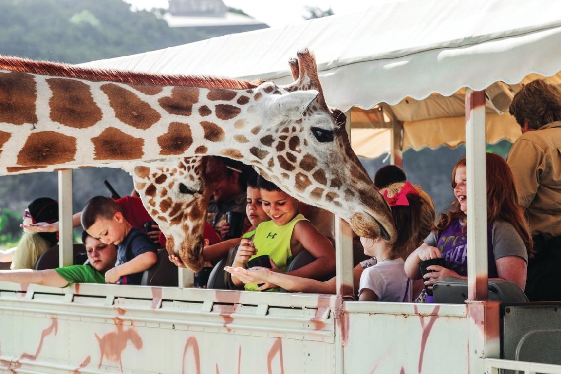 136 Lot #136 Valley View Ct