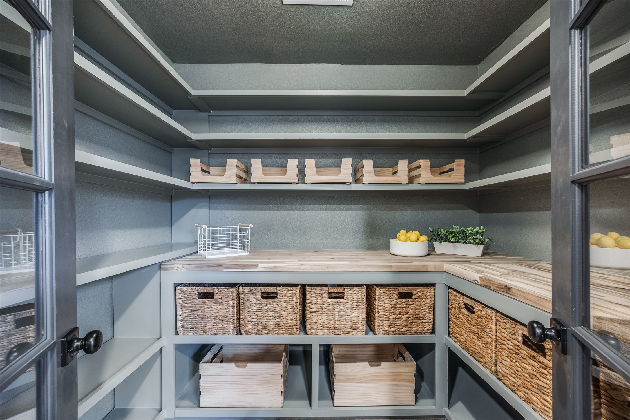 4204 Early Morn Drive