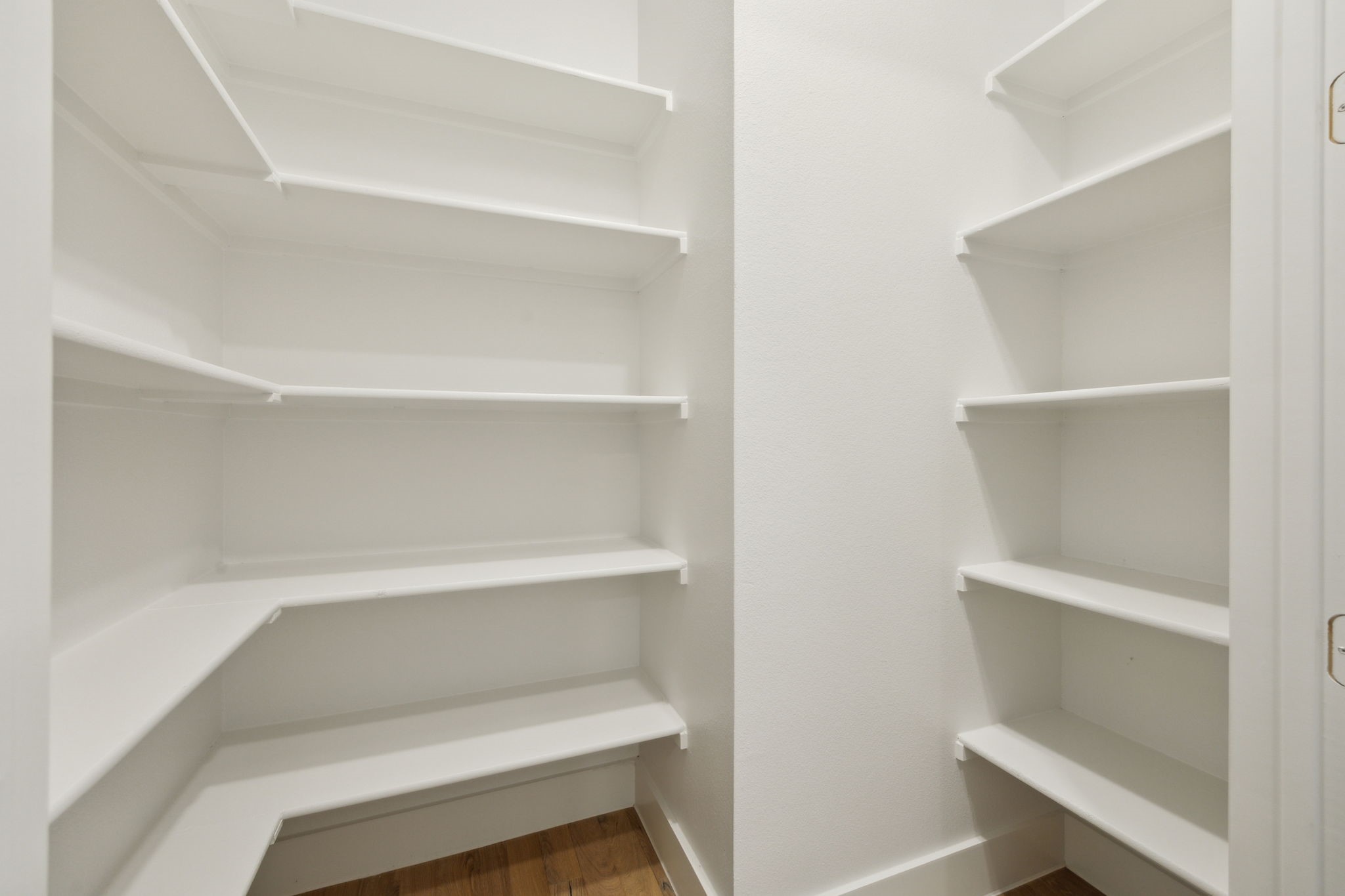 3105 Eccleston Street