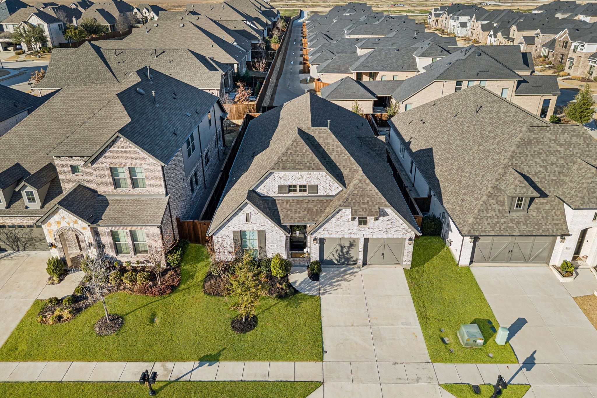 3114 Pedigree Court