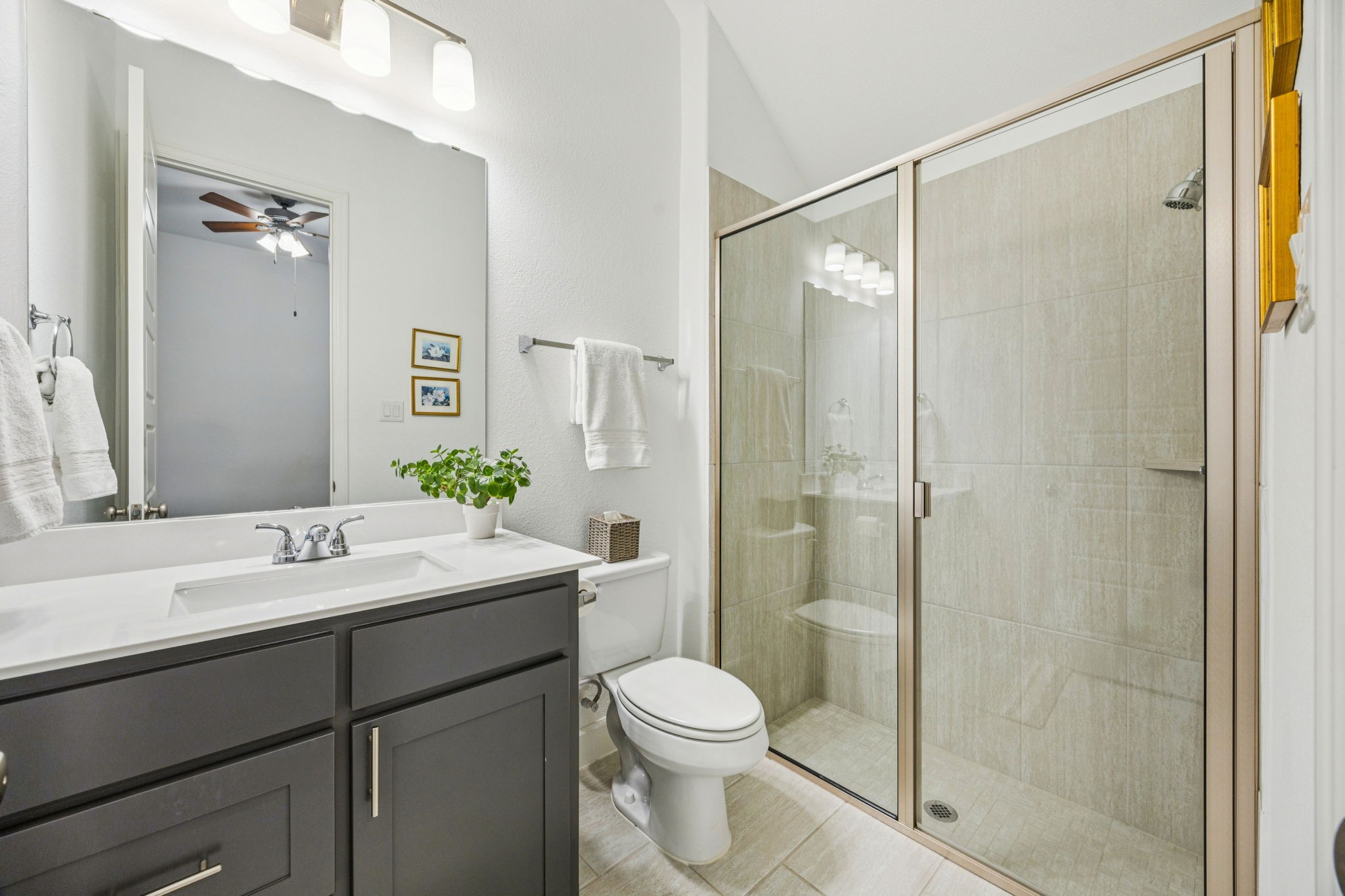 3114 Pedigree Court