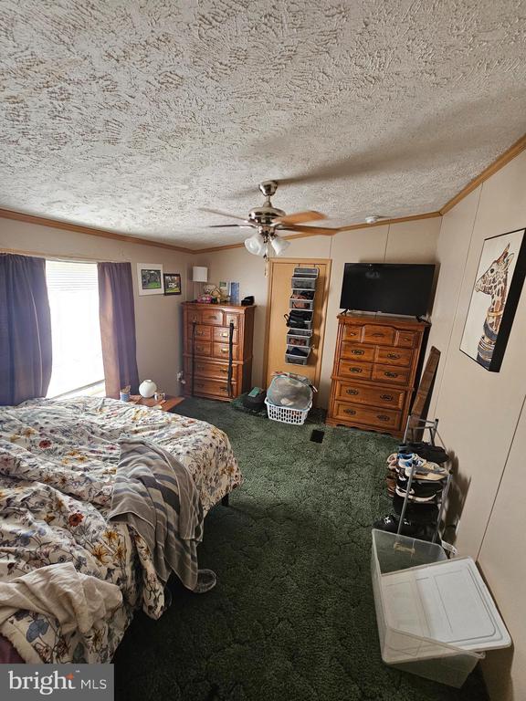 9 SHORT STREET