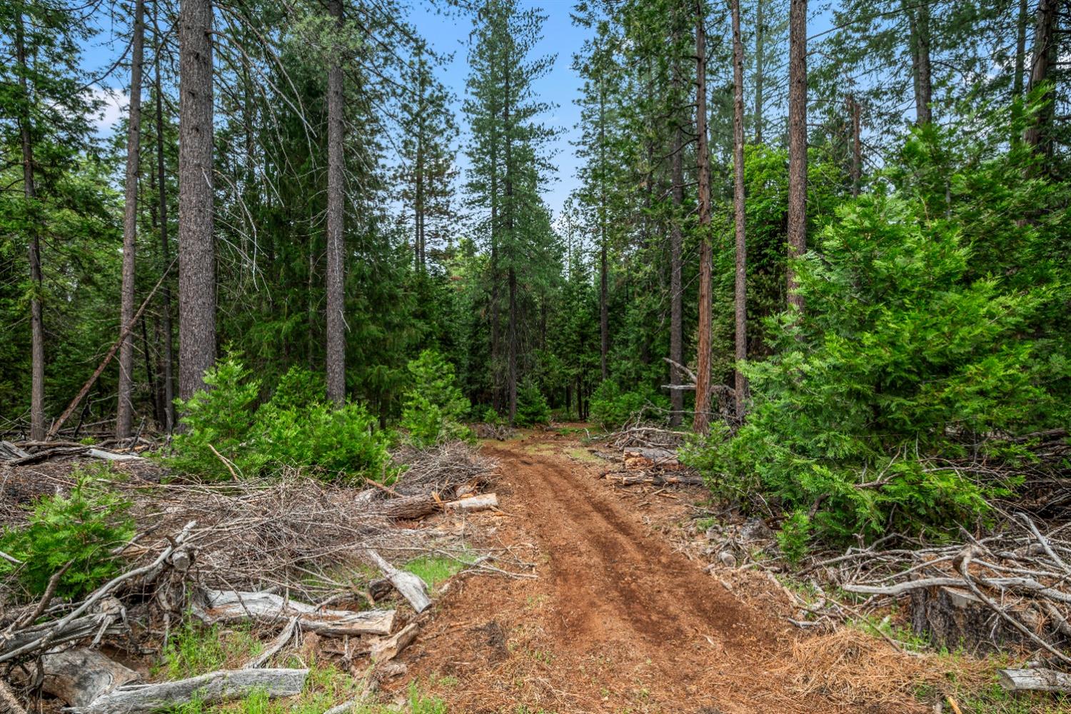 7481 Slug Gulch Road