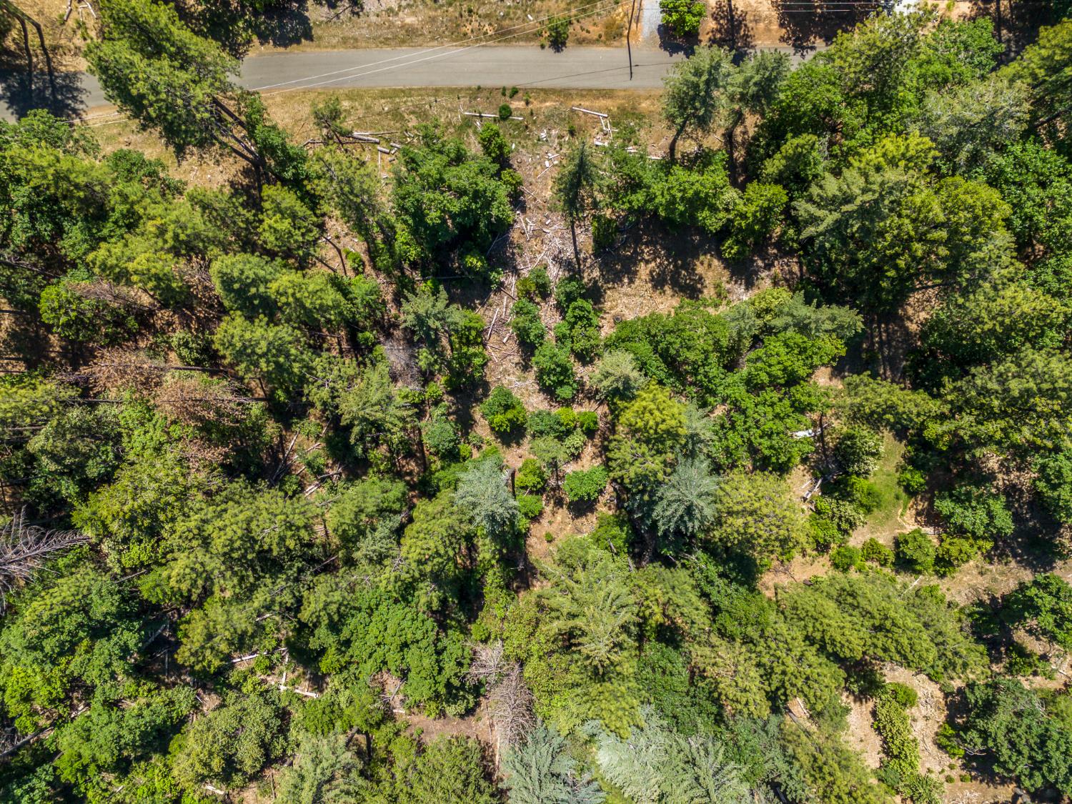 6324 Dickinson Road