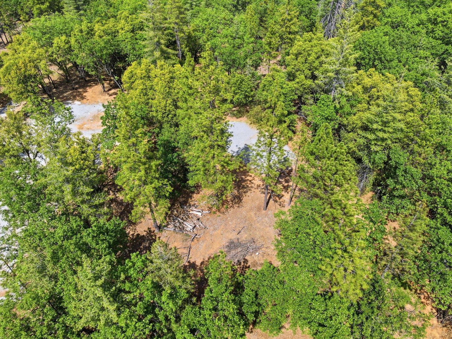 1451 Big Oak Road