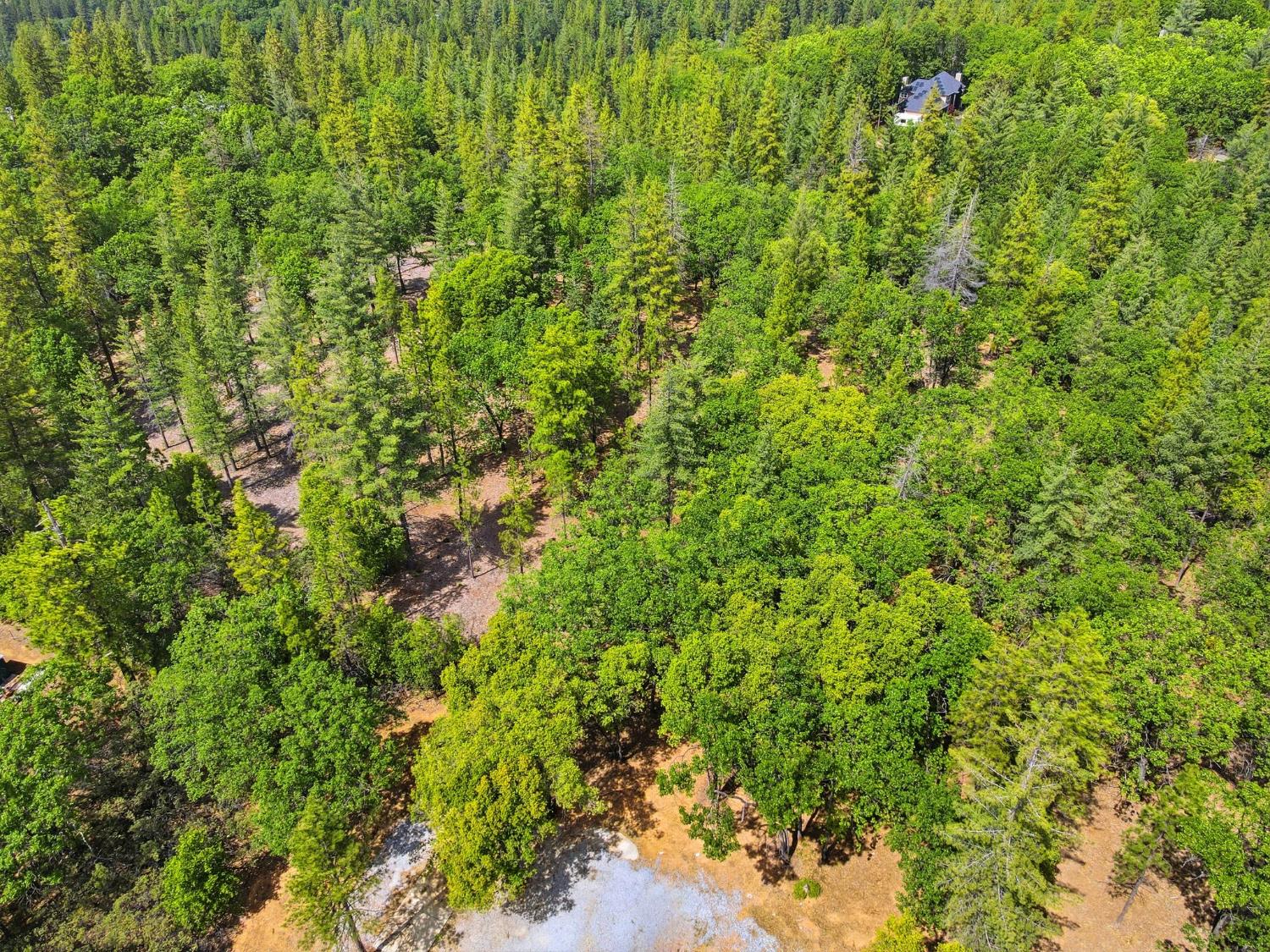 1451 Big Oak Road