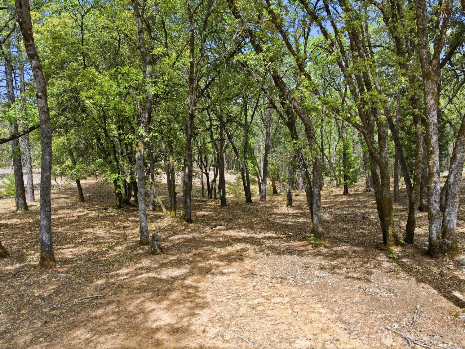 1451 Big Oak Road