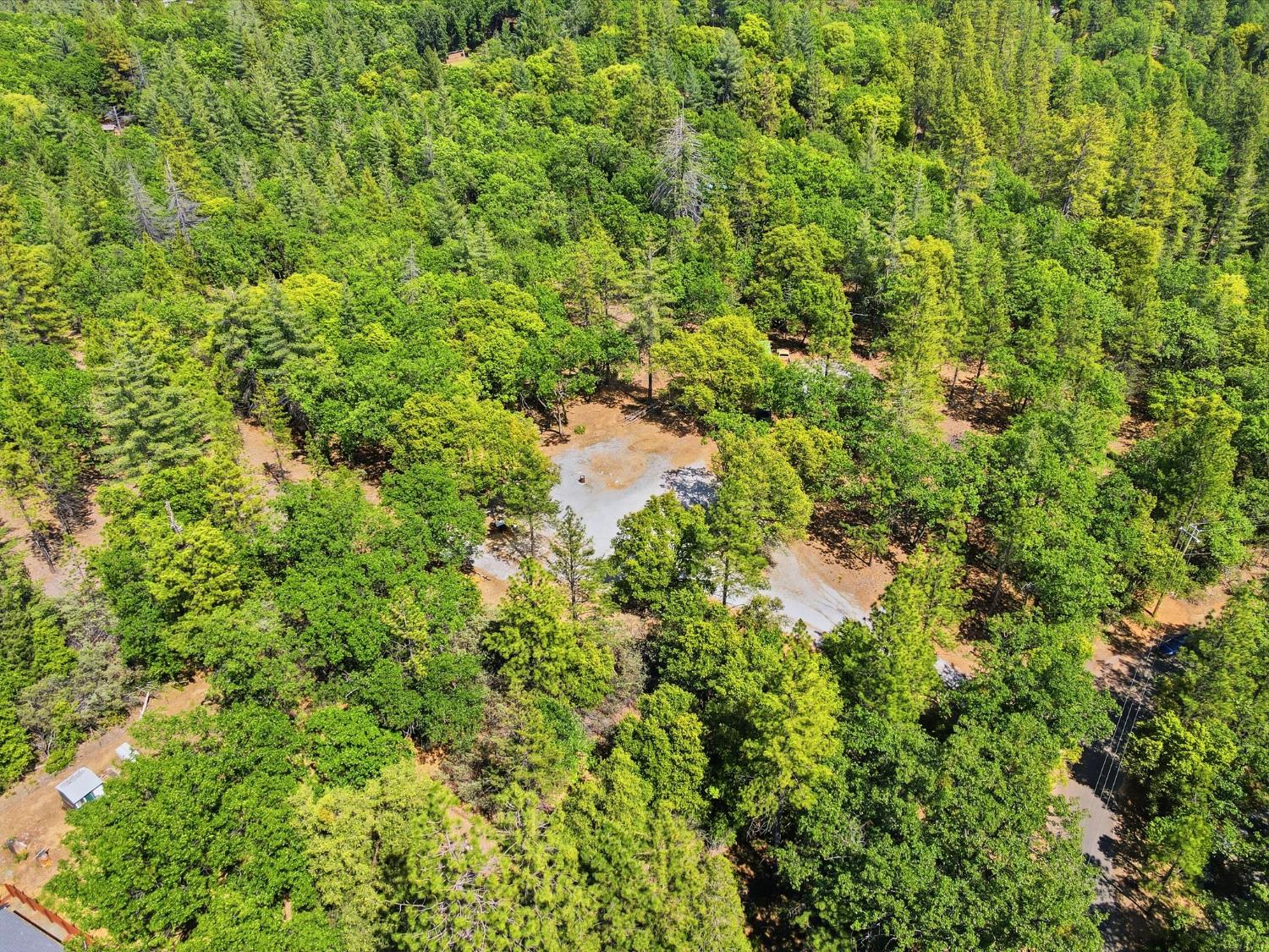 1451 Big Oak Road