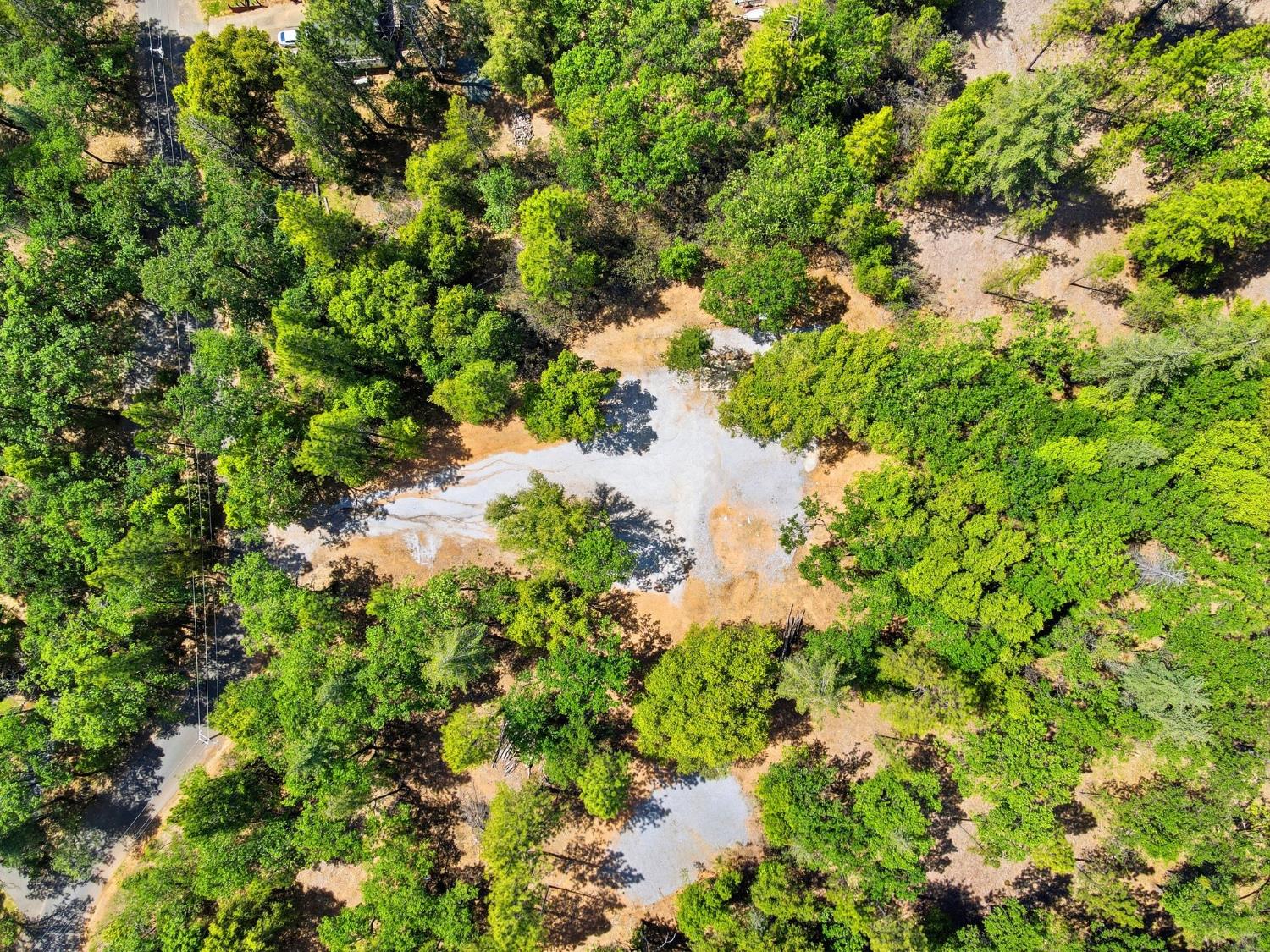 1451 Big Oak Road