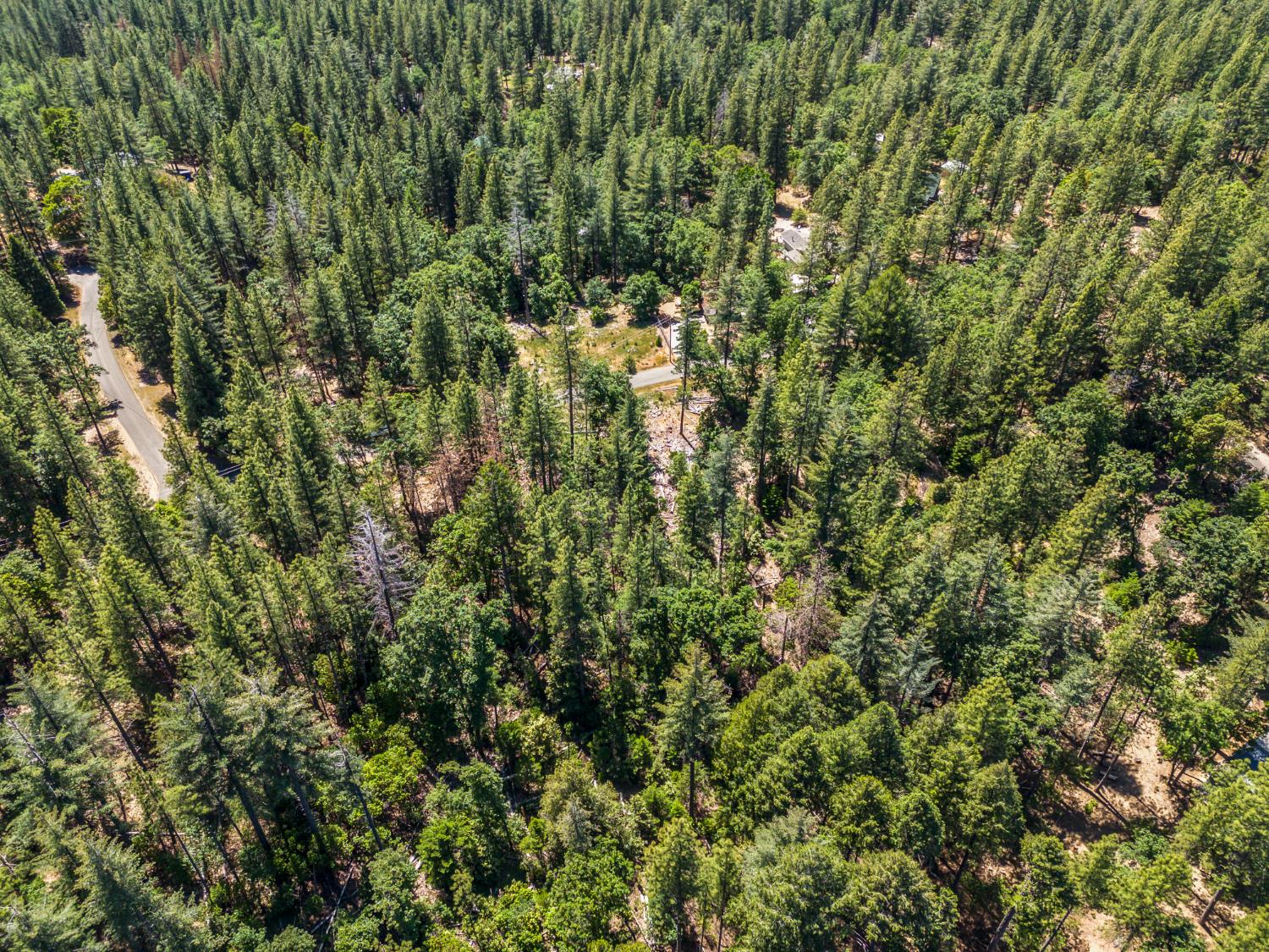 6324 Dickinson Road