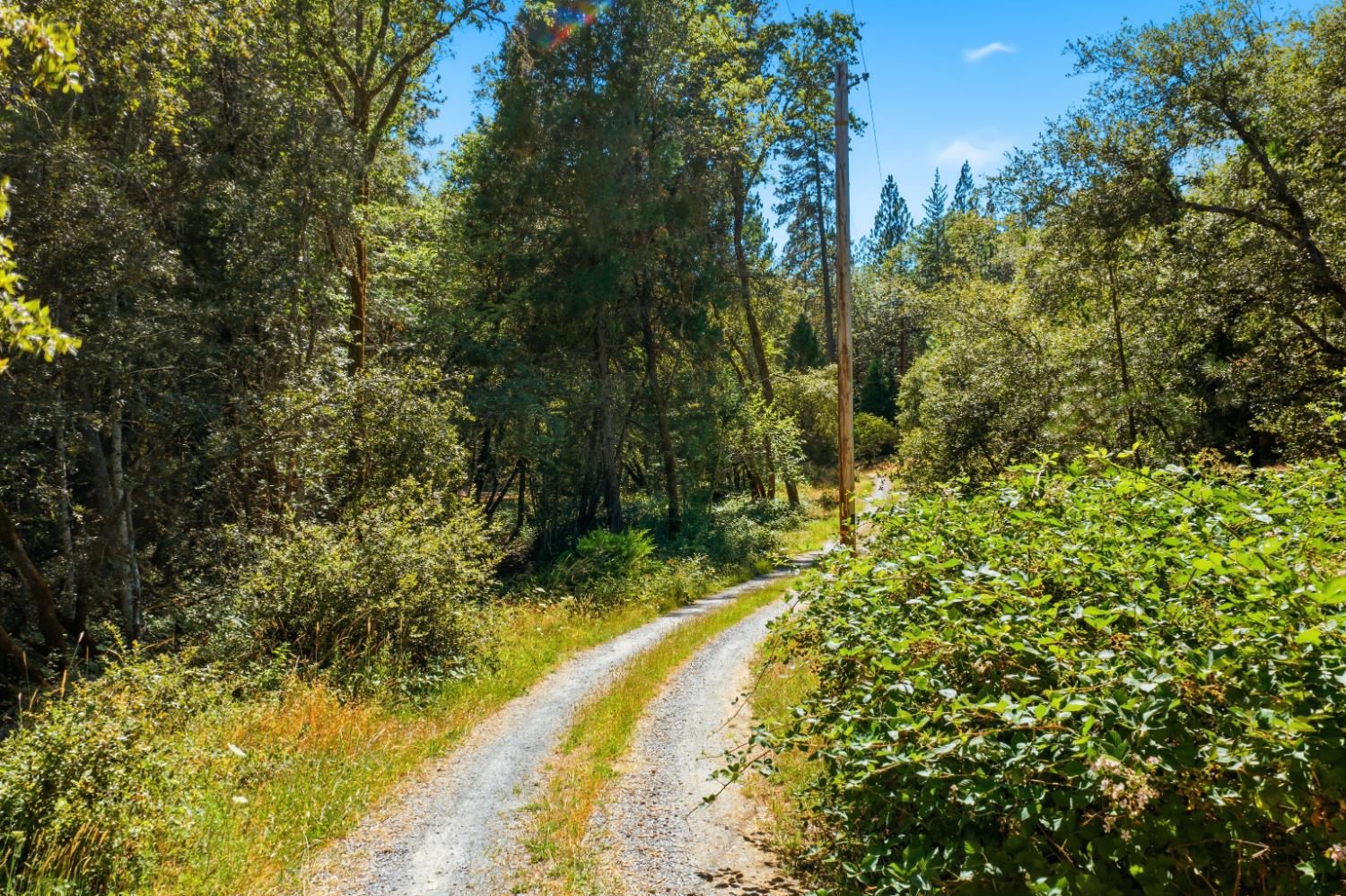 5281 Hidden Hollow Drive
