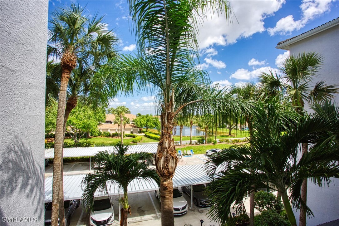 8076 Queen Palm LN 434