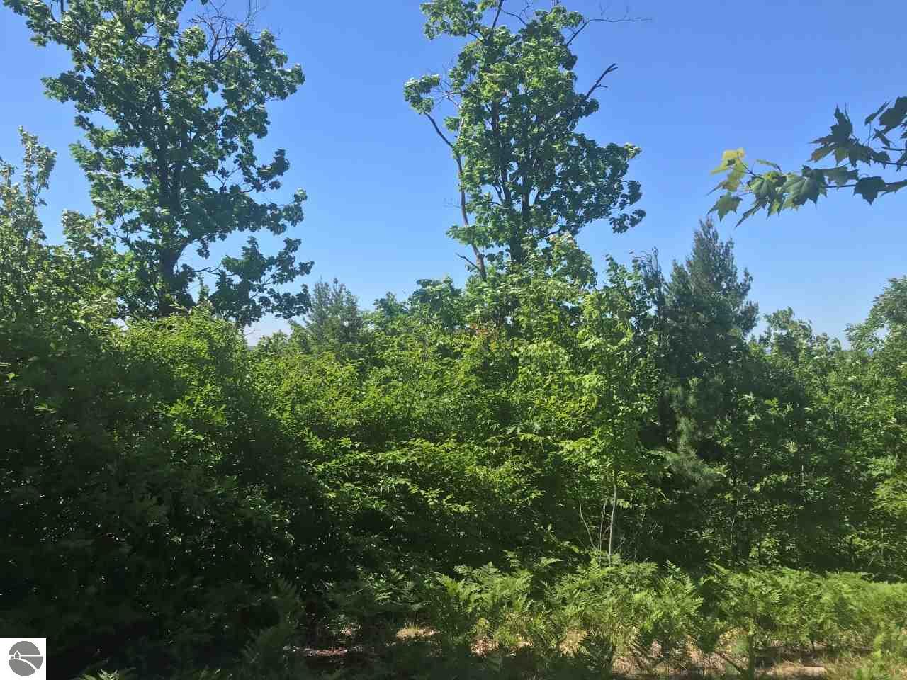 Lot BB Southview Drive