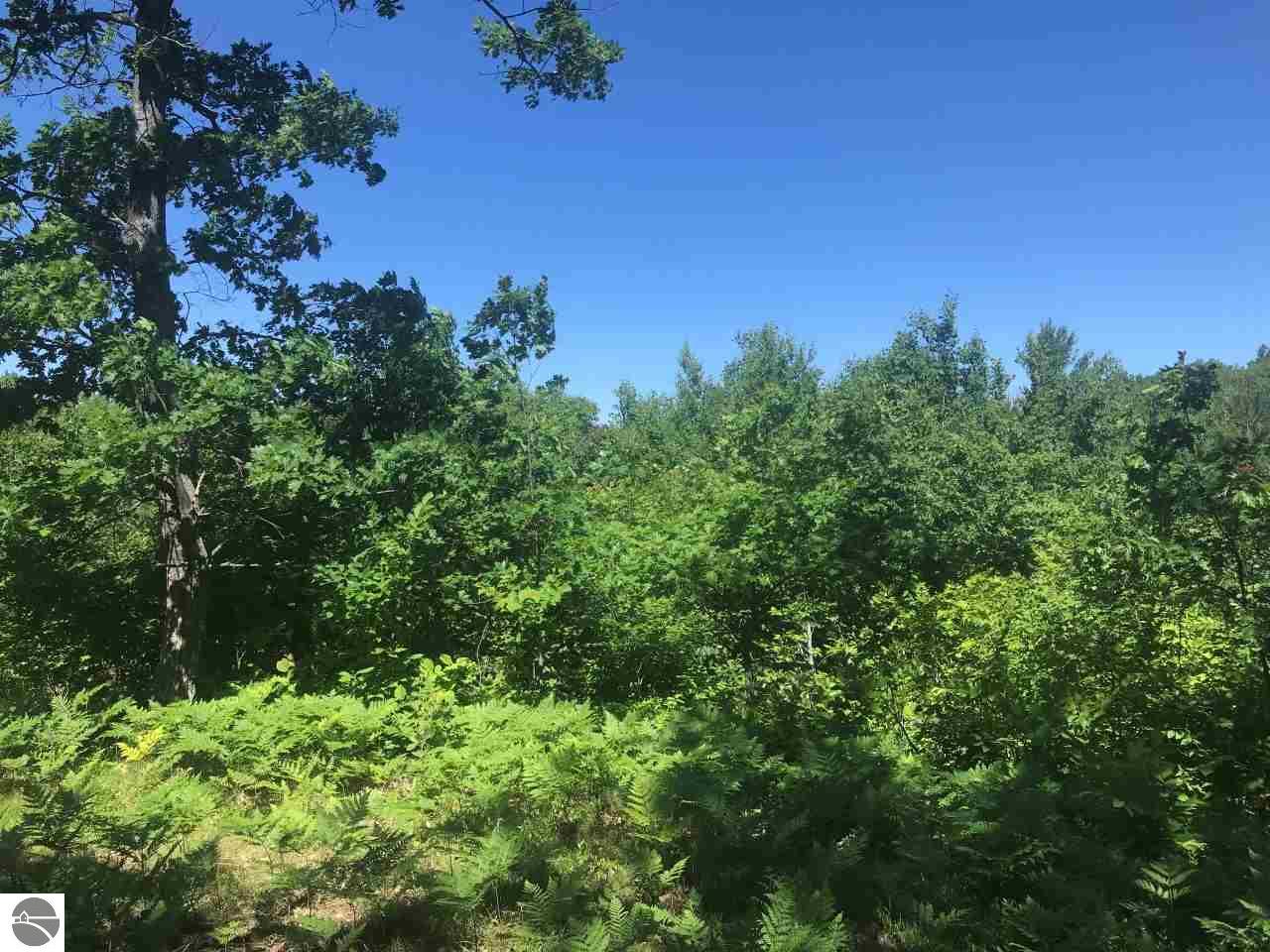 Lot BB Southview Drive