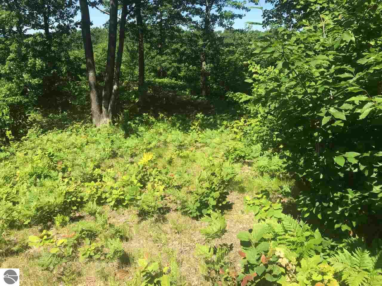 Lot BB Southview Drive