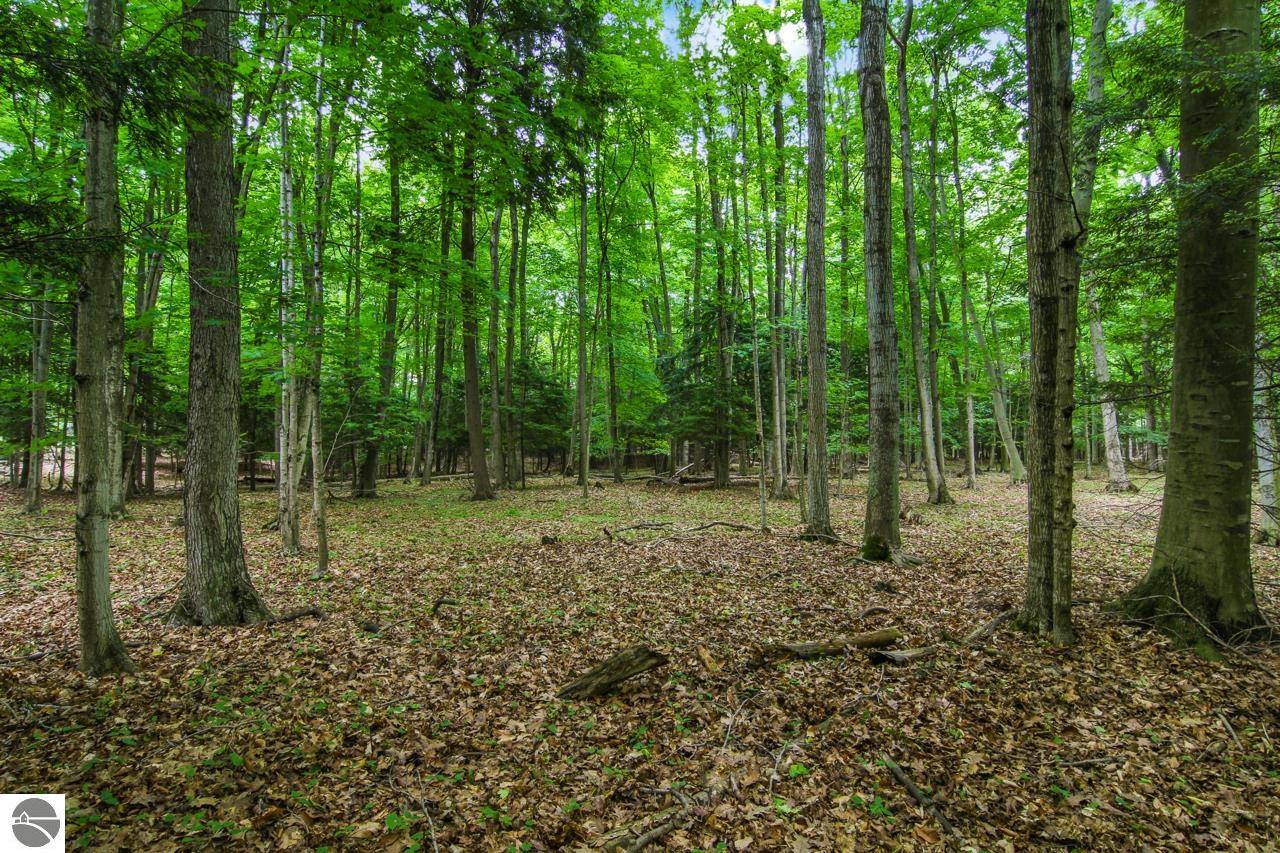 18158 Northwood Highway