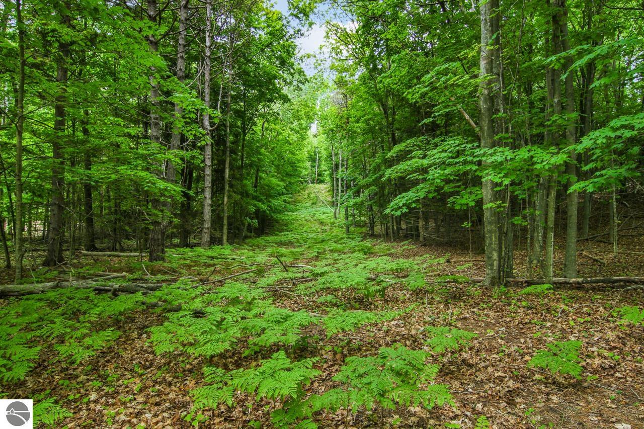 18158 Northwood Highway