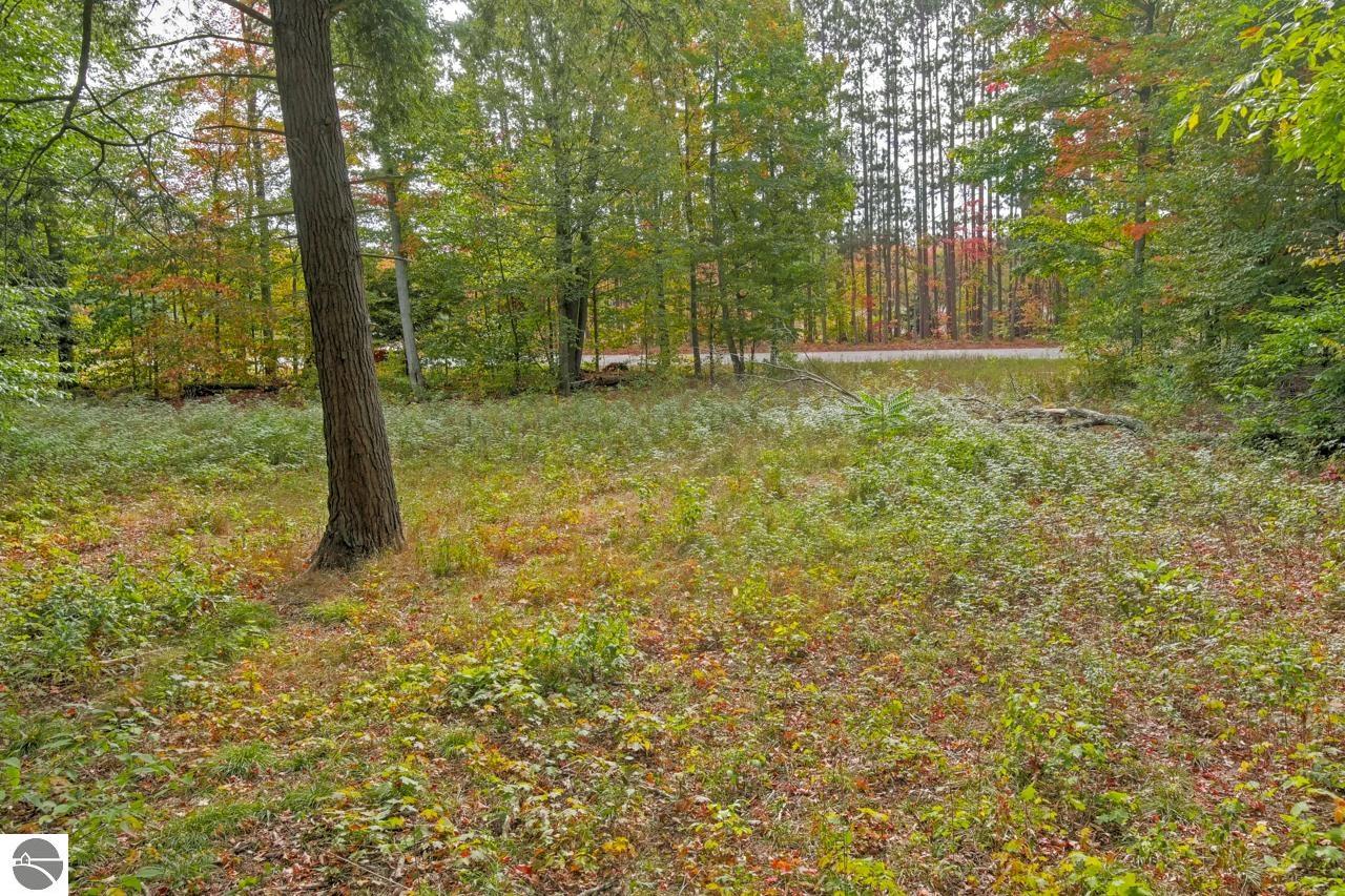 00Z0 Homestead Road