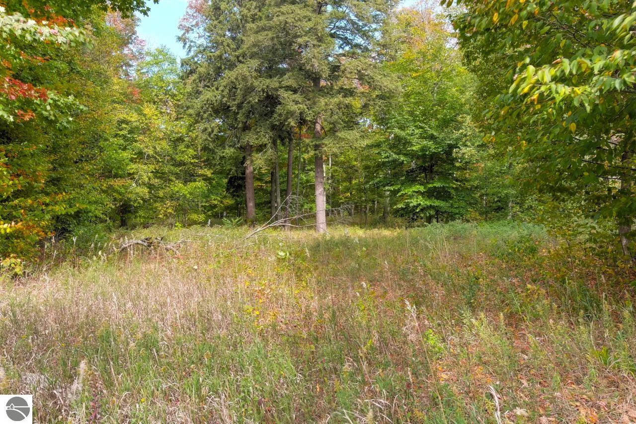 00Z0 Homestead Road