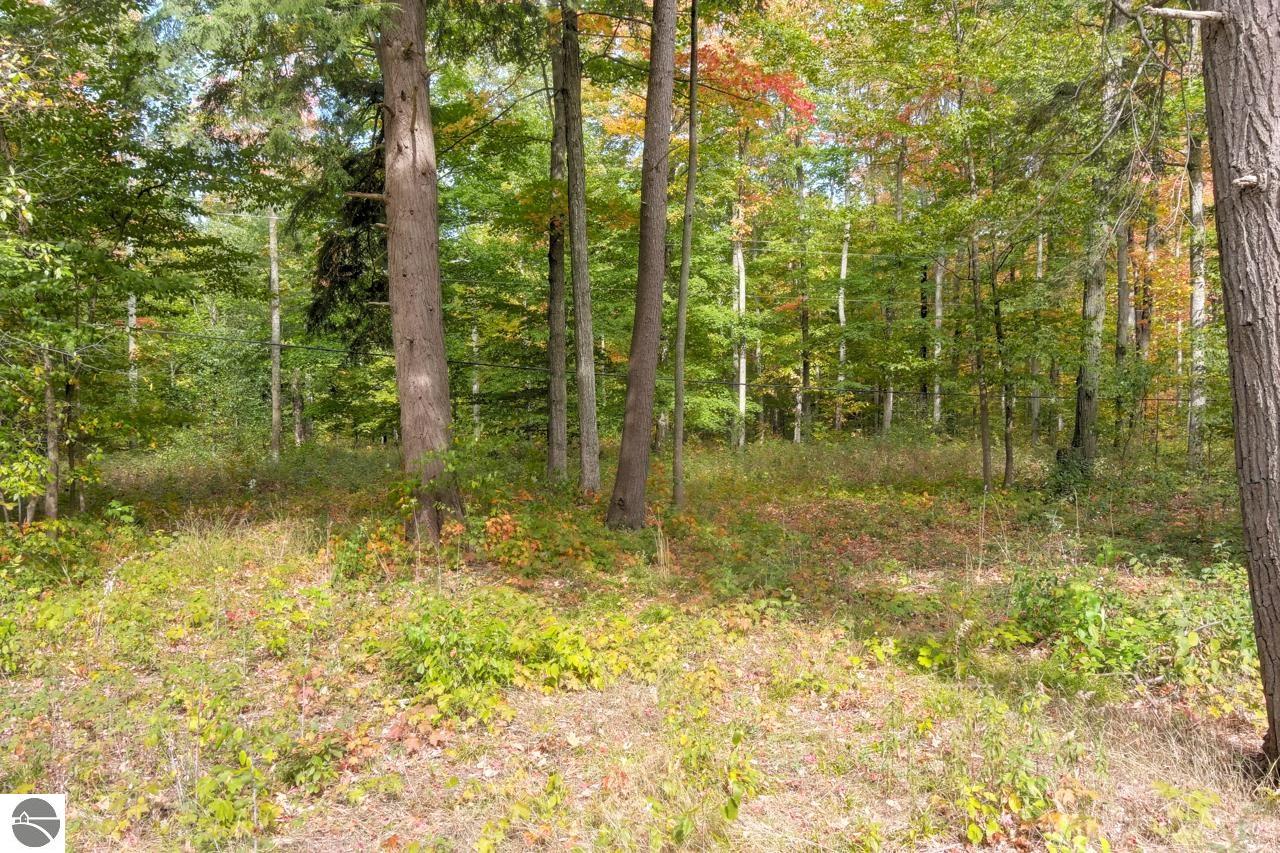00Z0 Homestead Road
