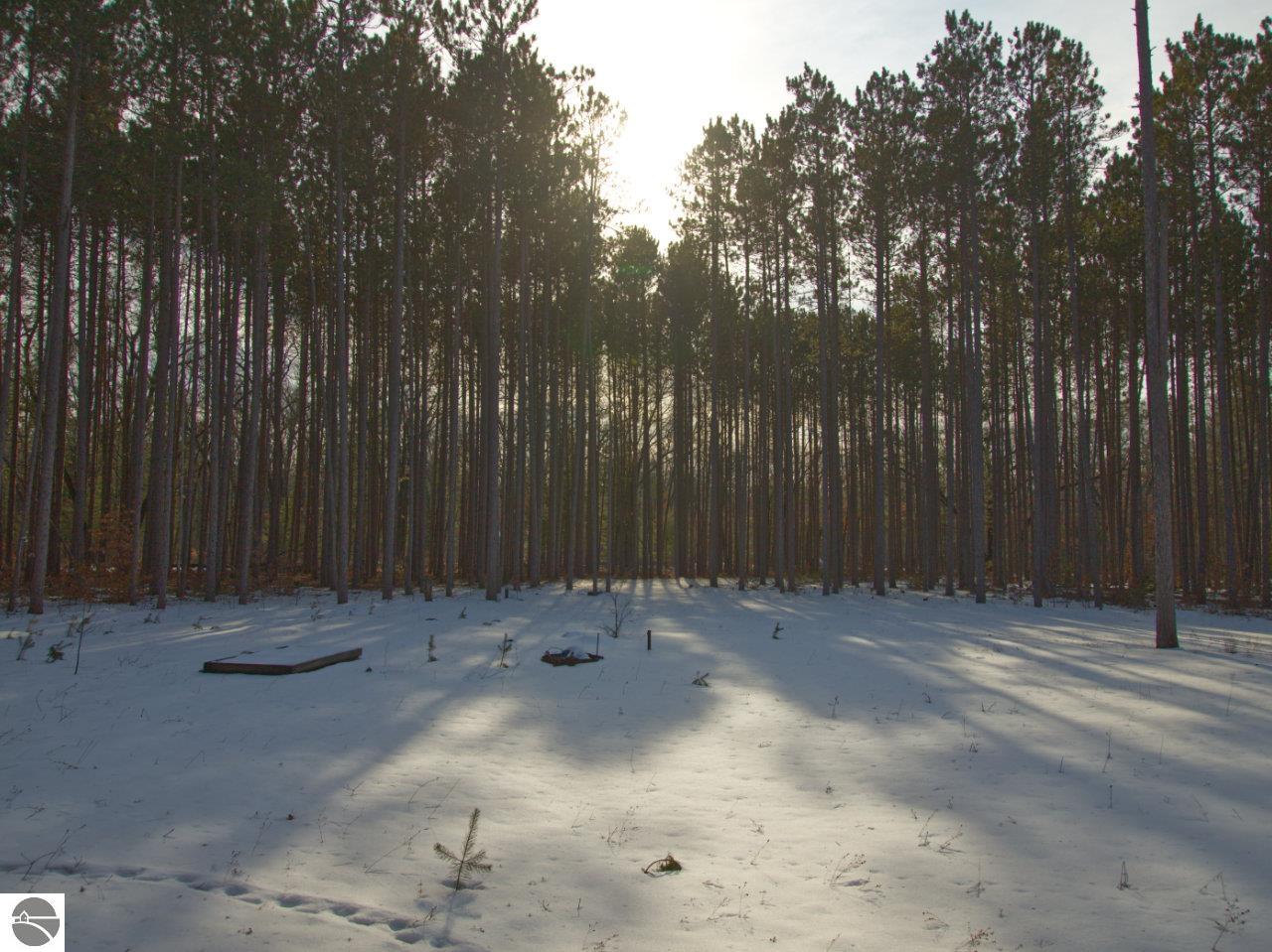 4179 Dutchman Trail