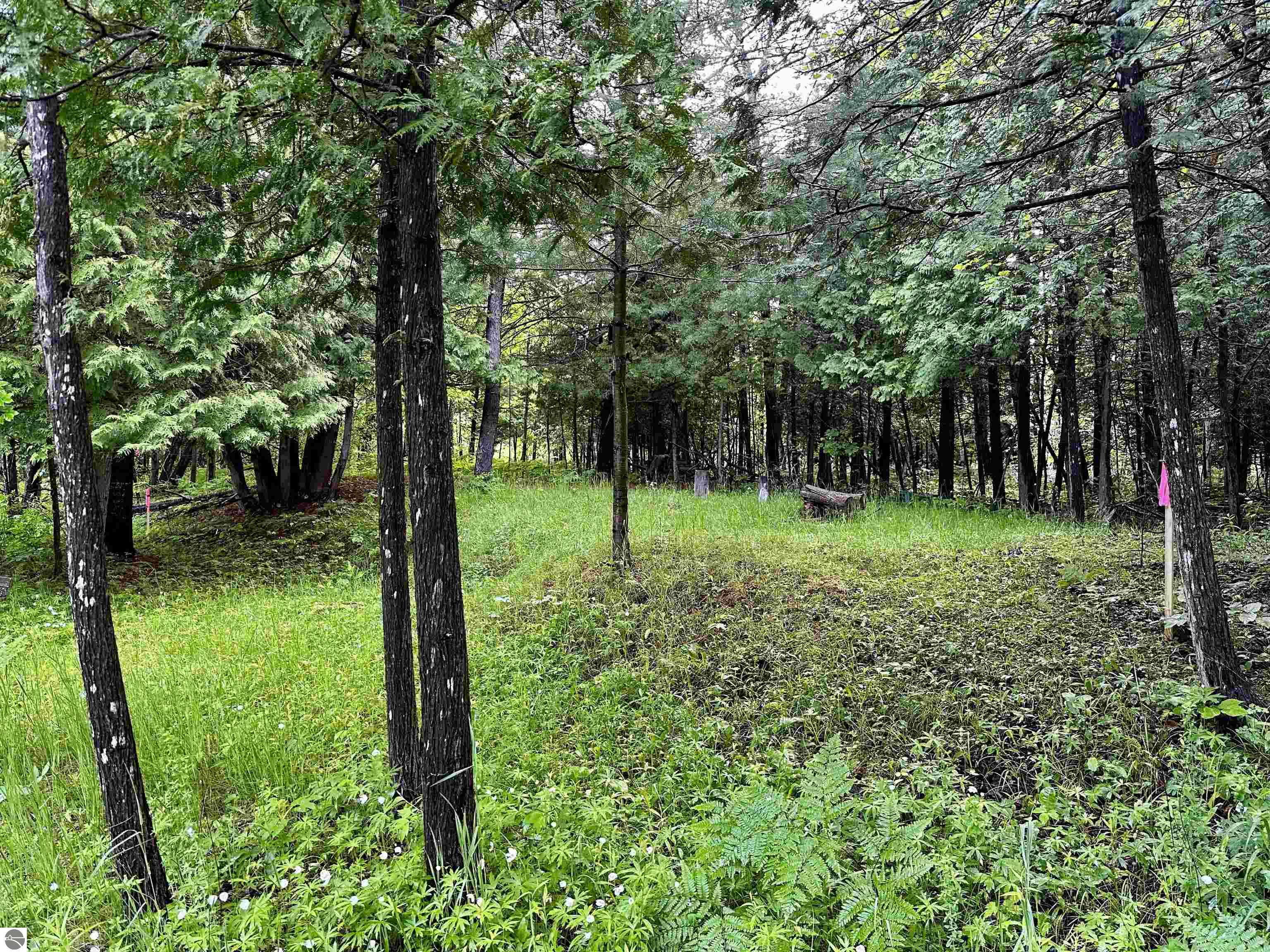 Lot 16 Pine Meadows Drive
