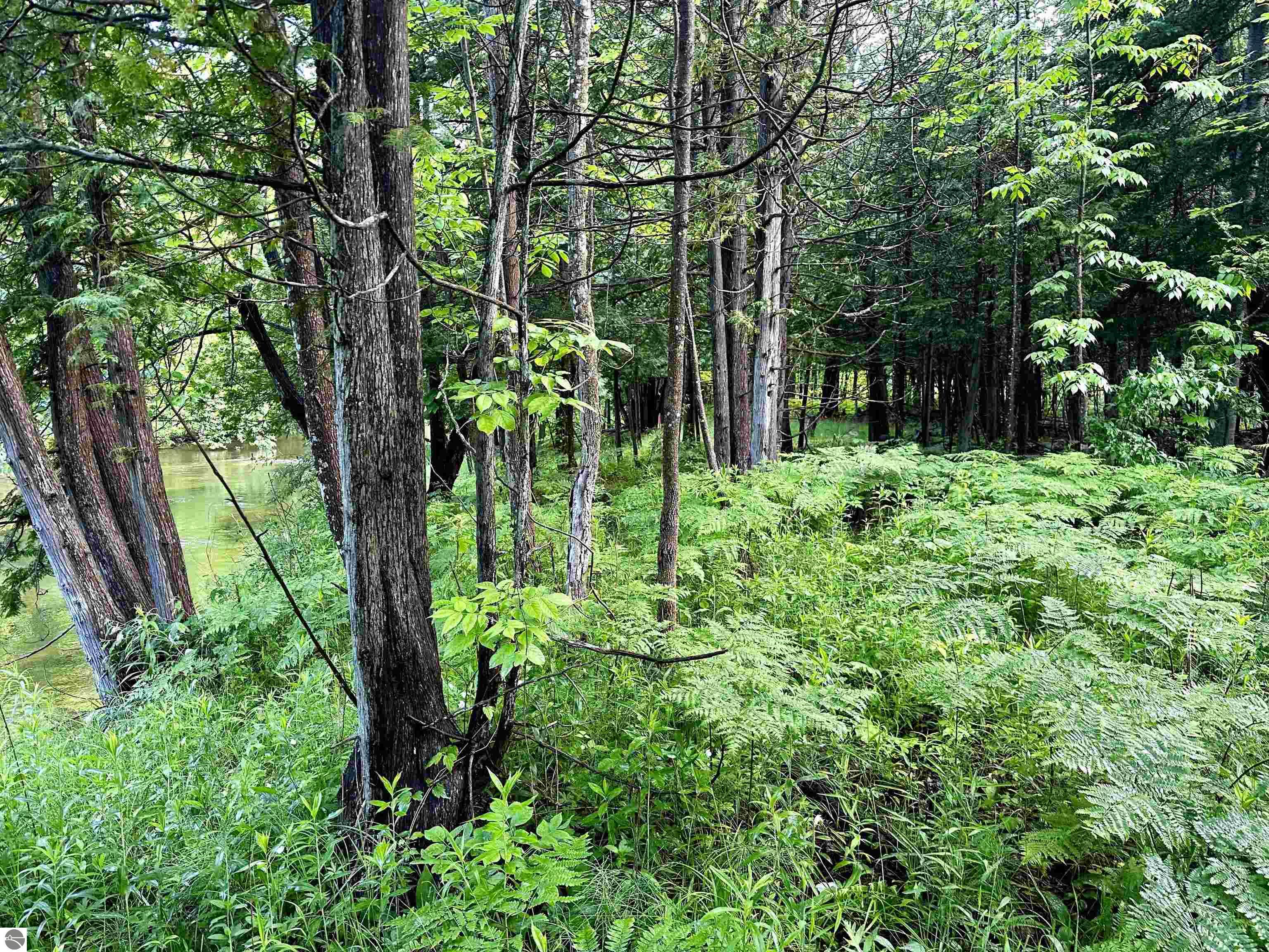 Lot 16 Pine Meadows Drive