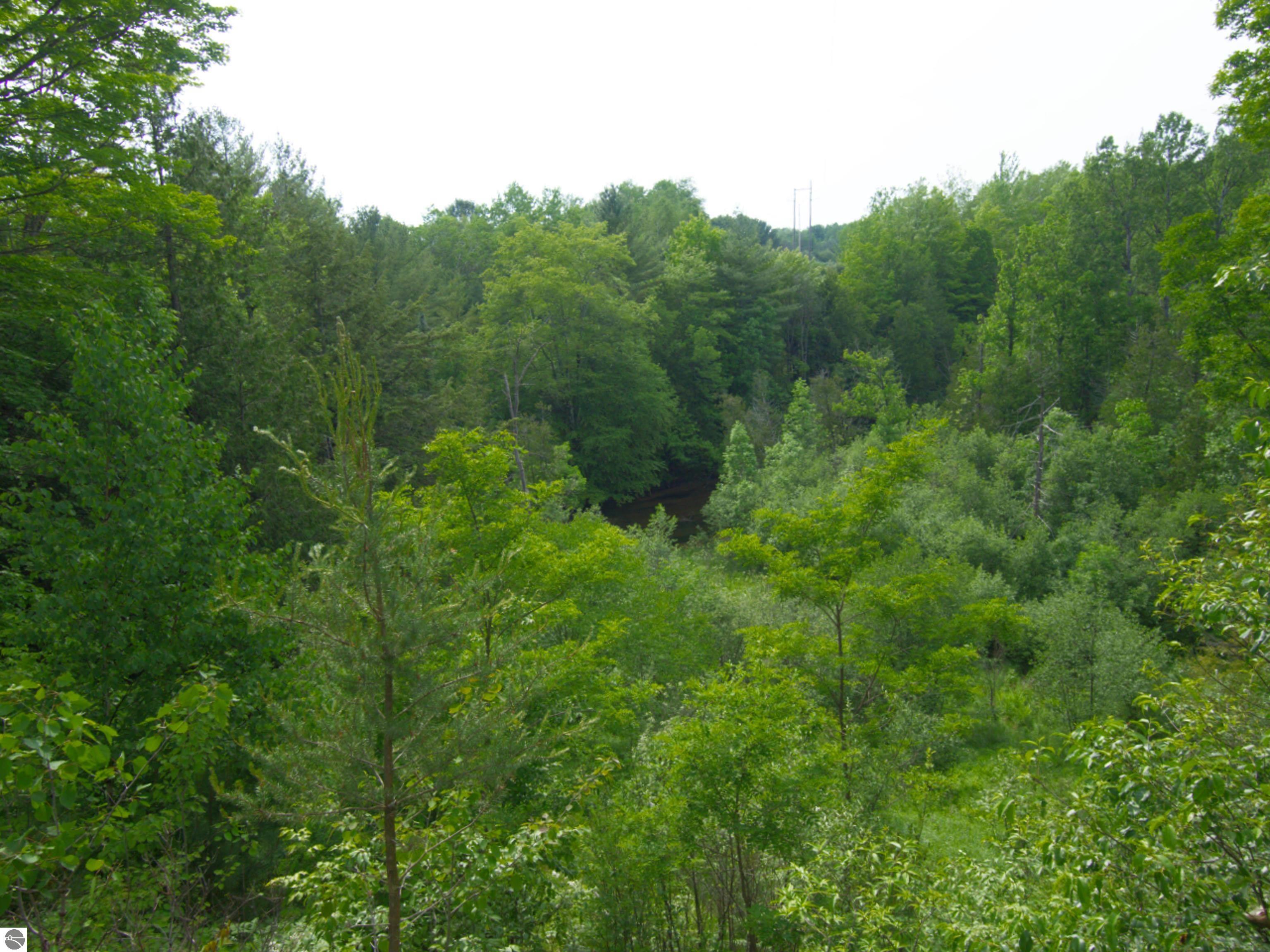 Lot 16 Pine Meadows Drive