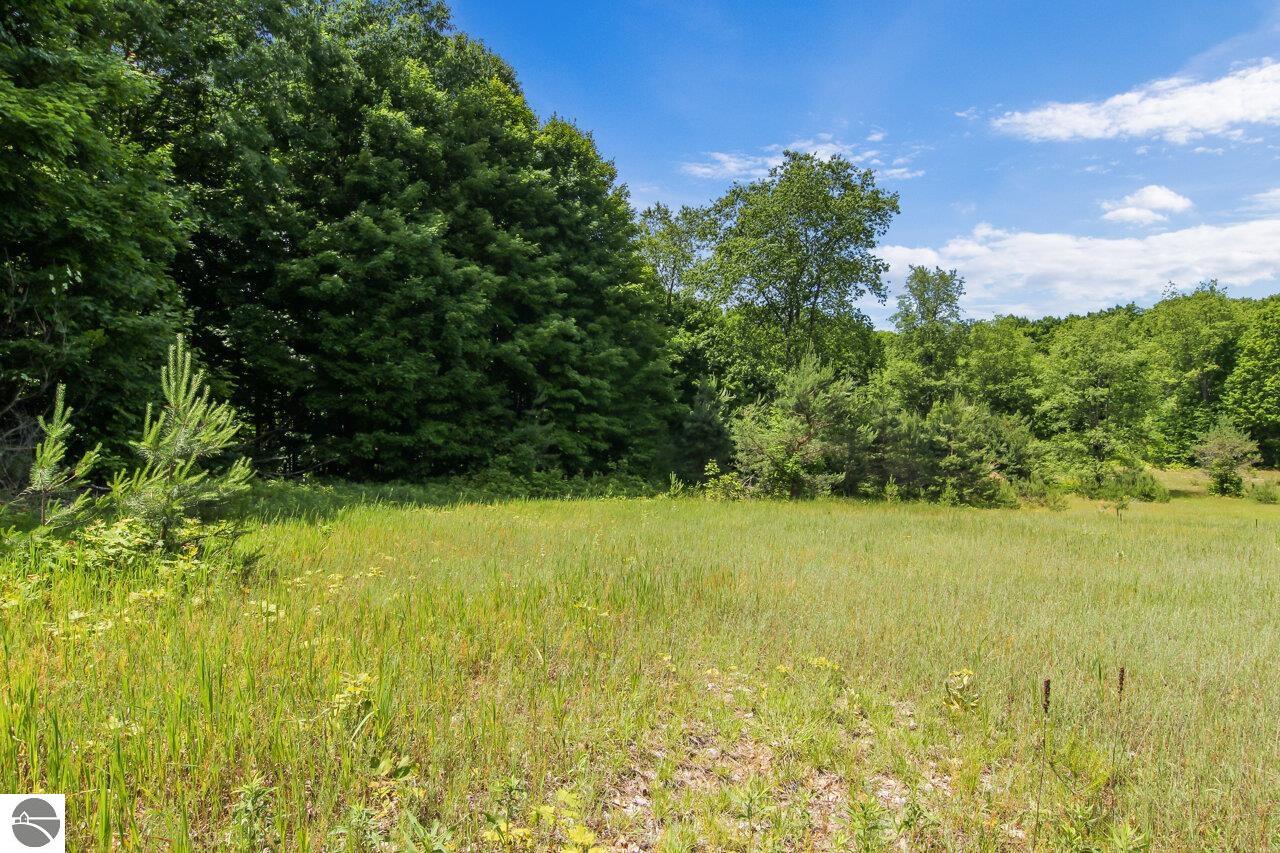 37.7 Acres Miller Road