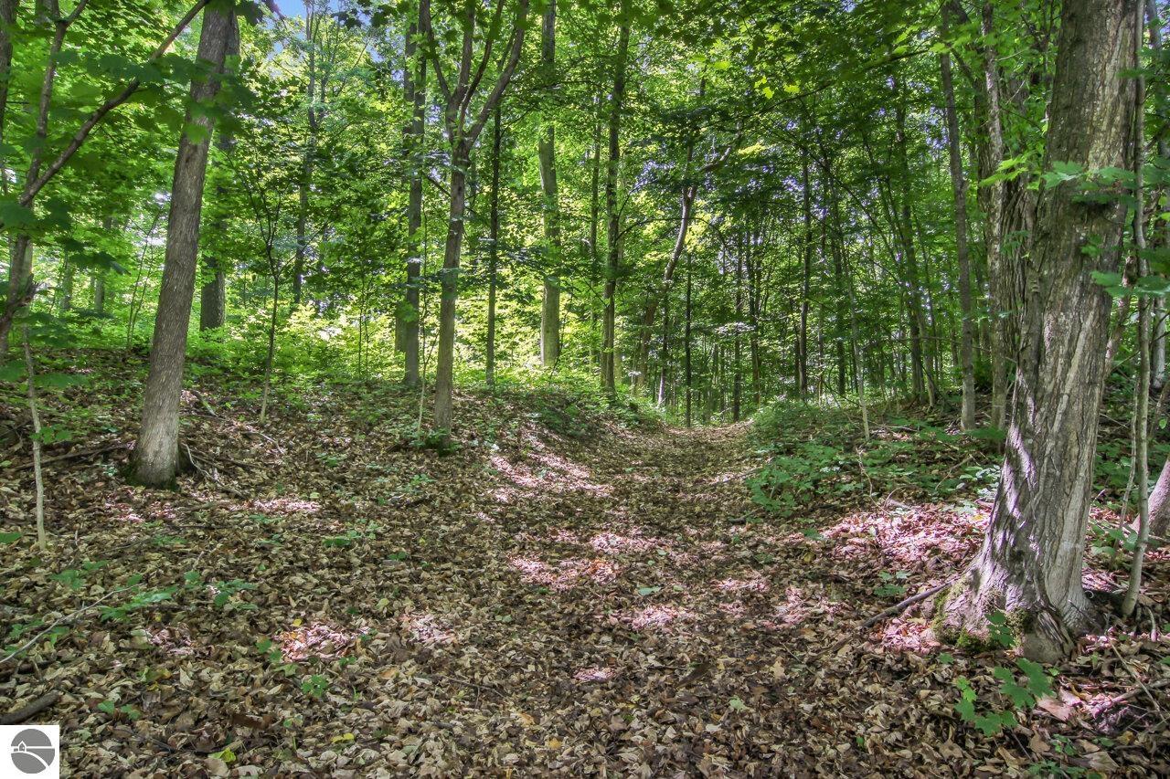 37.7 Acres Miller Road