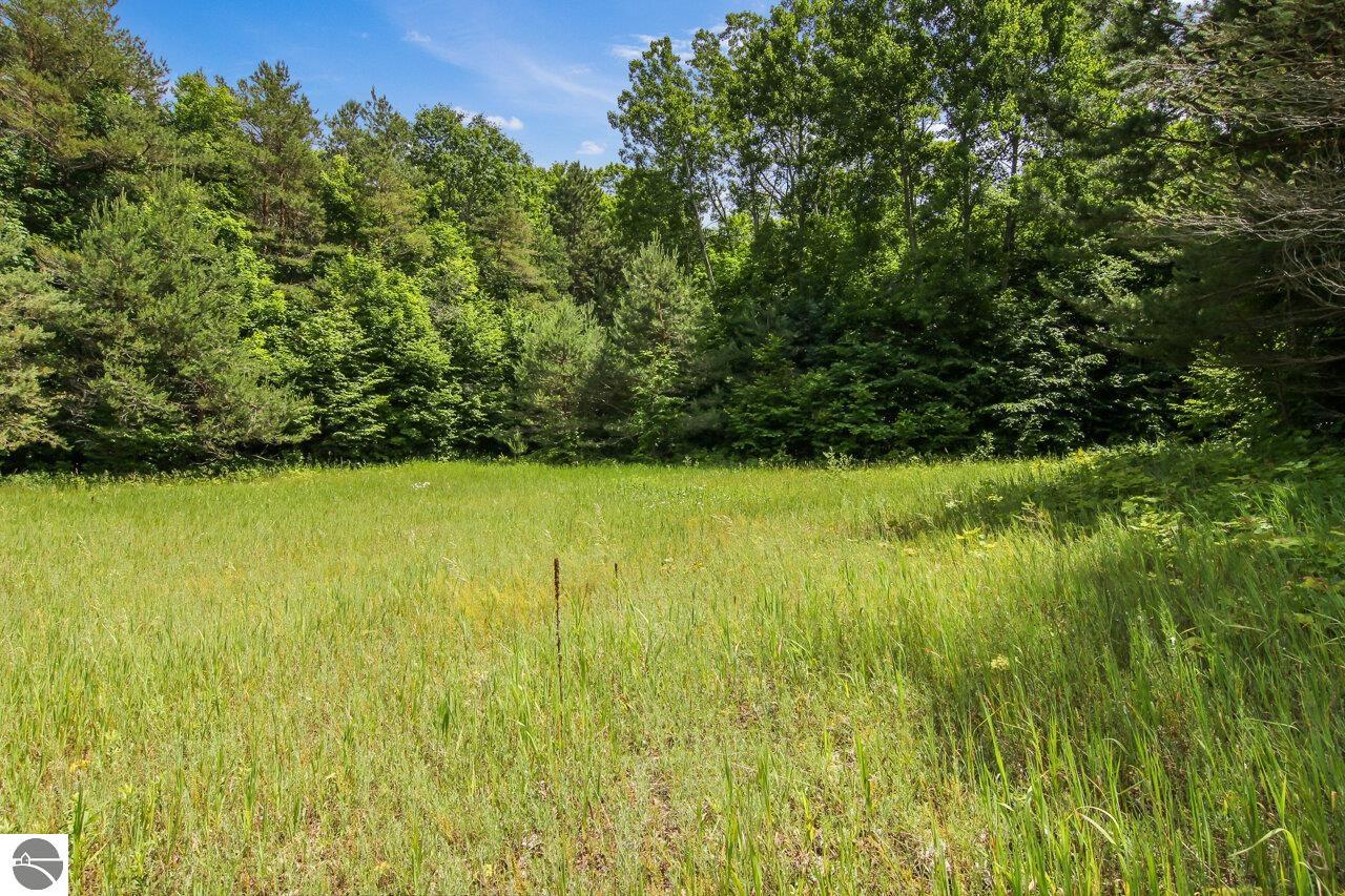 37.7 Acres Miller Road
