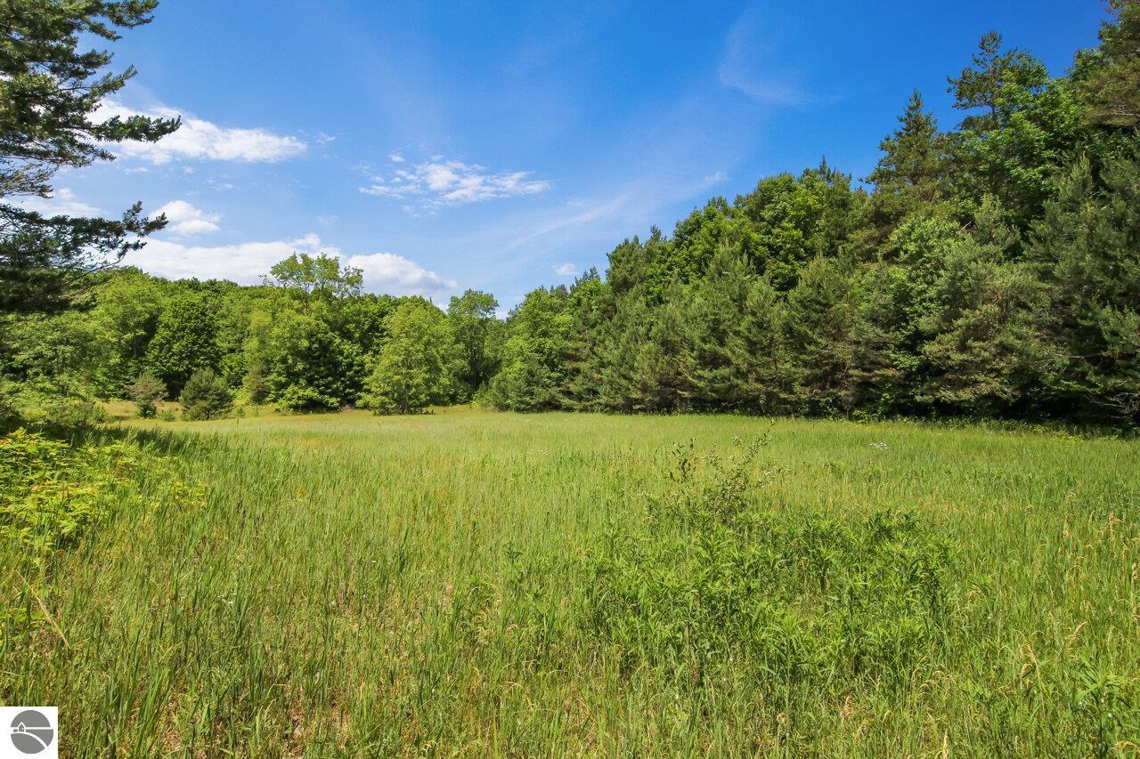 37.7 Acres Miller Road