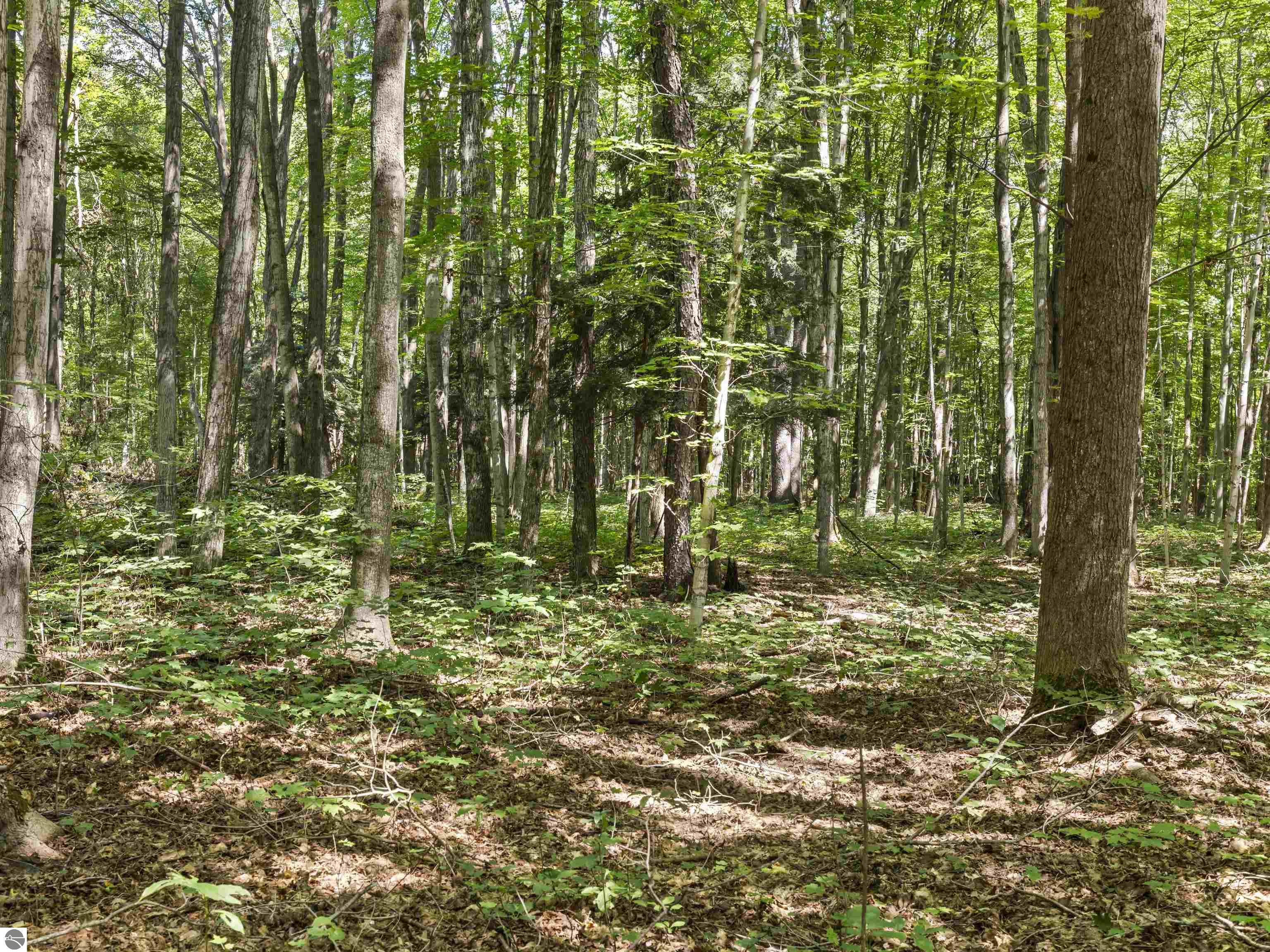 14880 Woods Trail