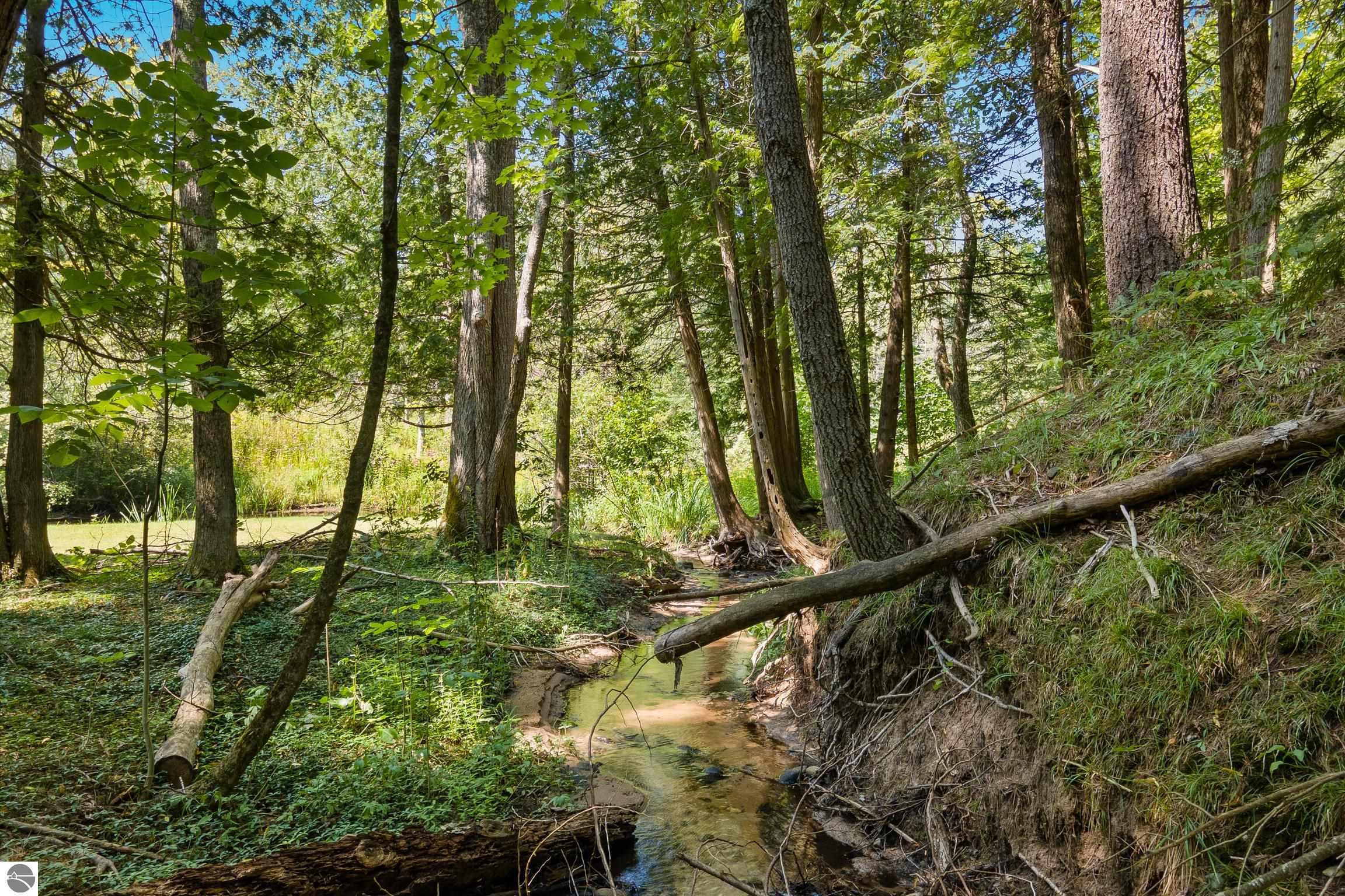 15300 Roaring Brook