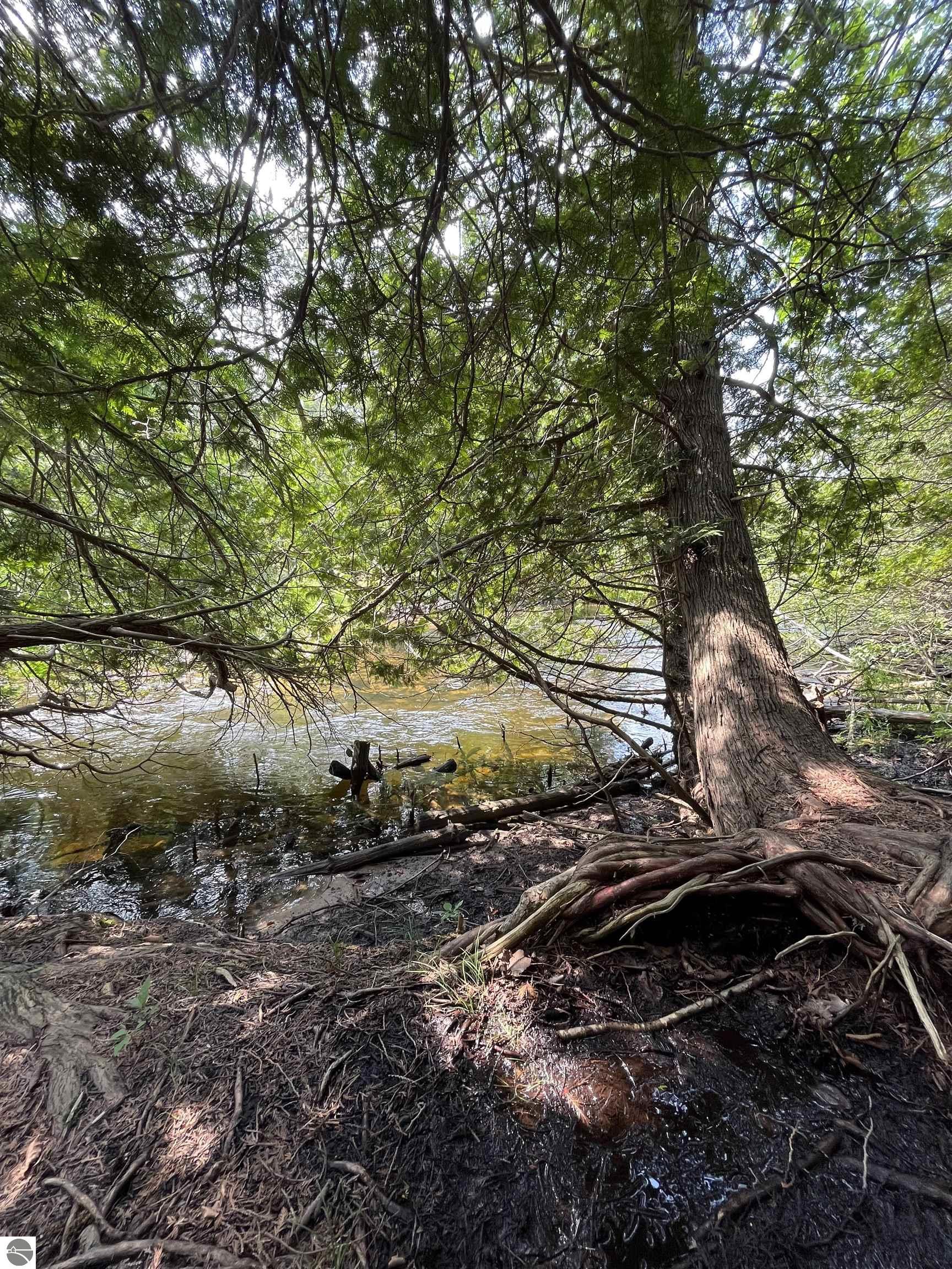 18396 Pine Ridge Way