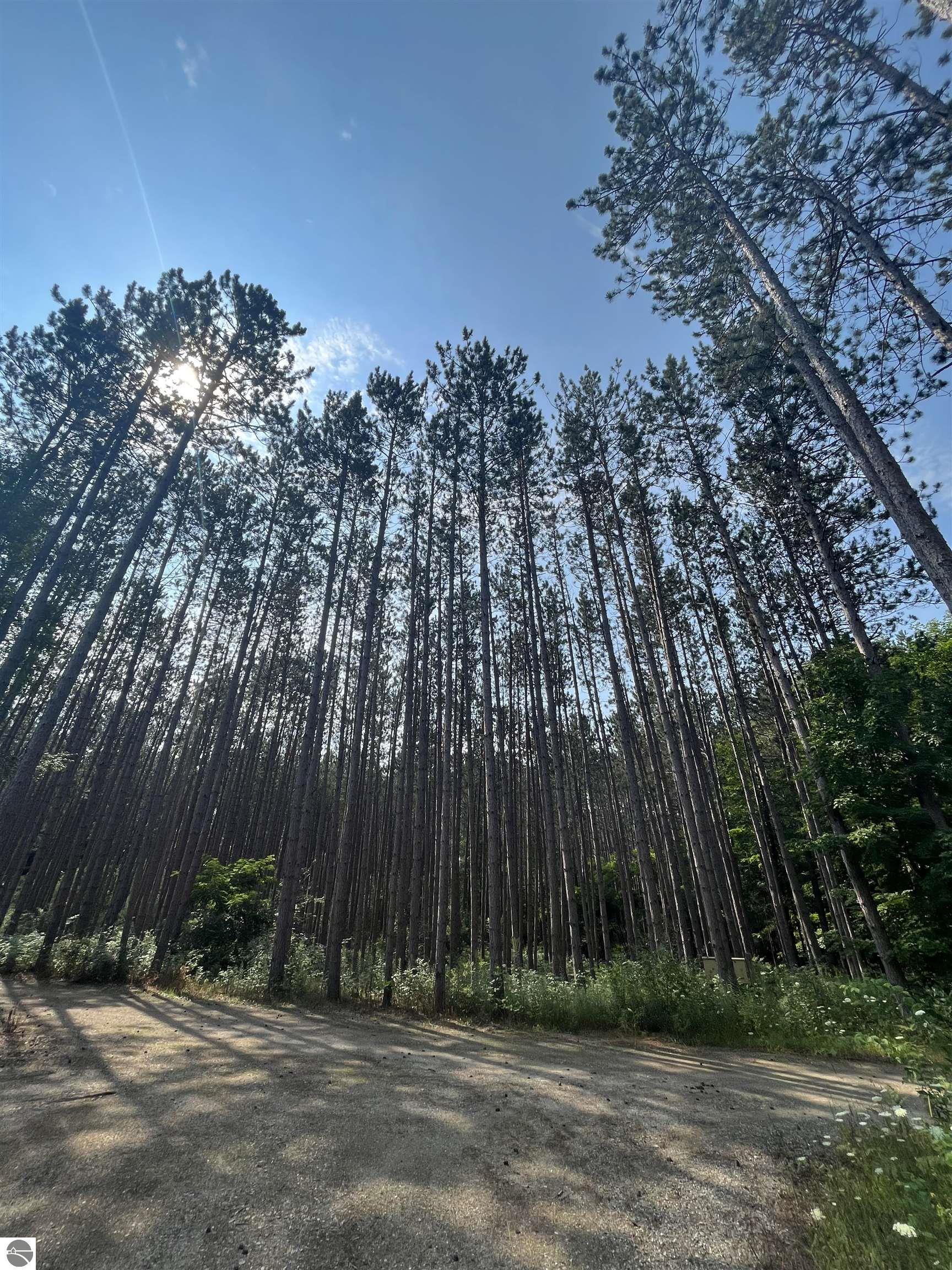 18396 Pine Ridge Way